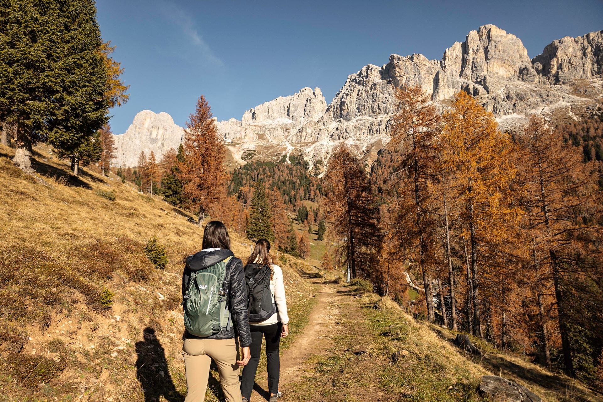 Escursione per famiglie dalla Malga Frommer alla baita Ochsenhütte - Regione dolomitica Val d'Ega - #2 - suedtirol.info