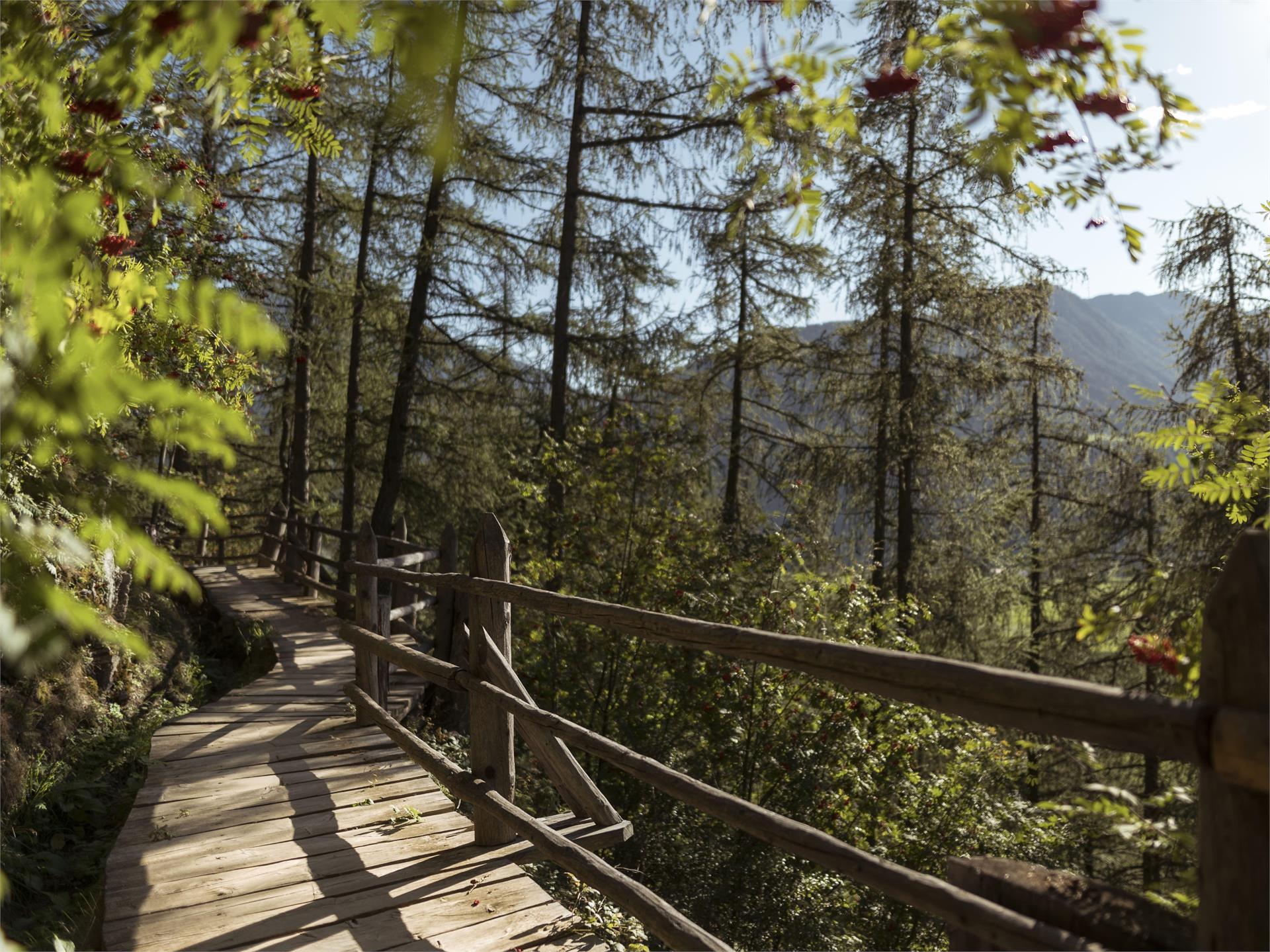 "Oberwaal" irrigation channel path Mals/Malles 2 suedtirol.info