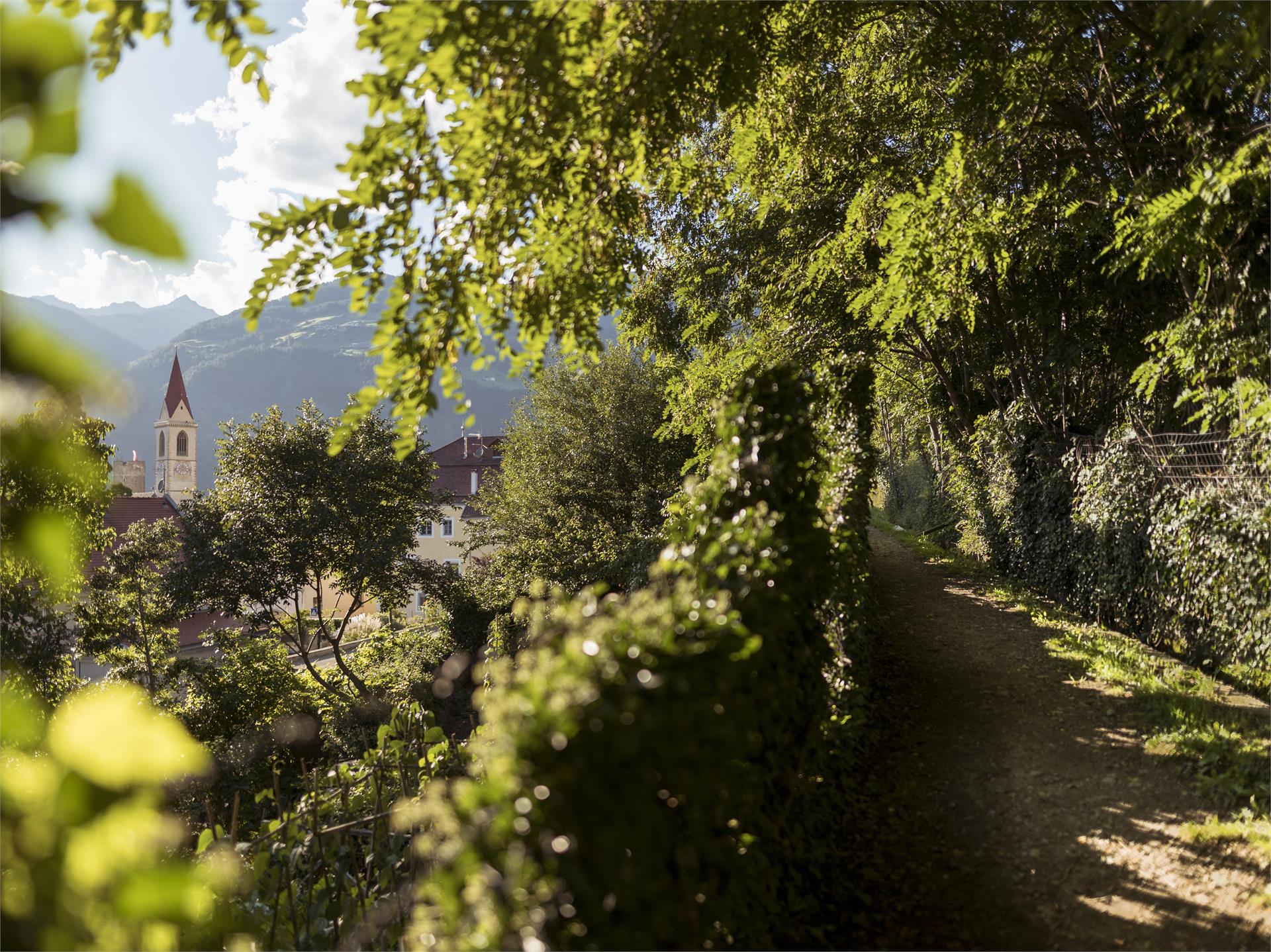 "Oberwaal" irrigation channel path Mals/Malles 1 suedtirol.info