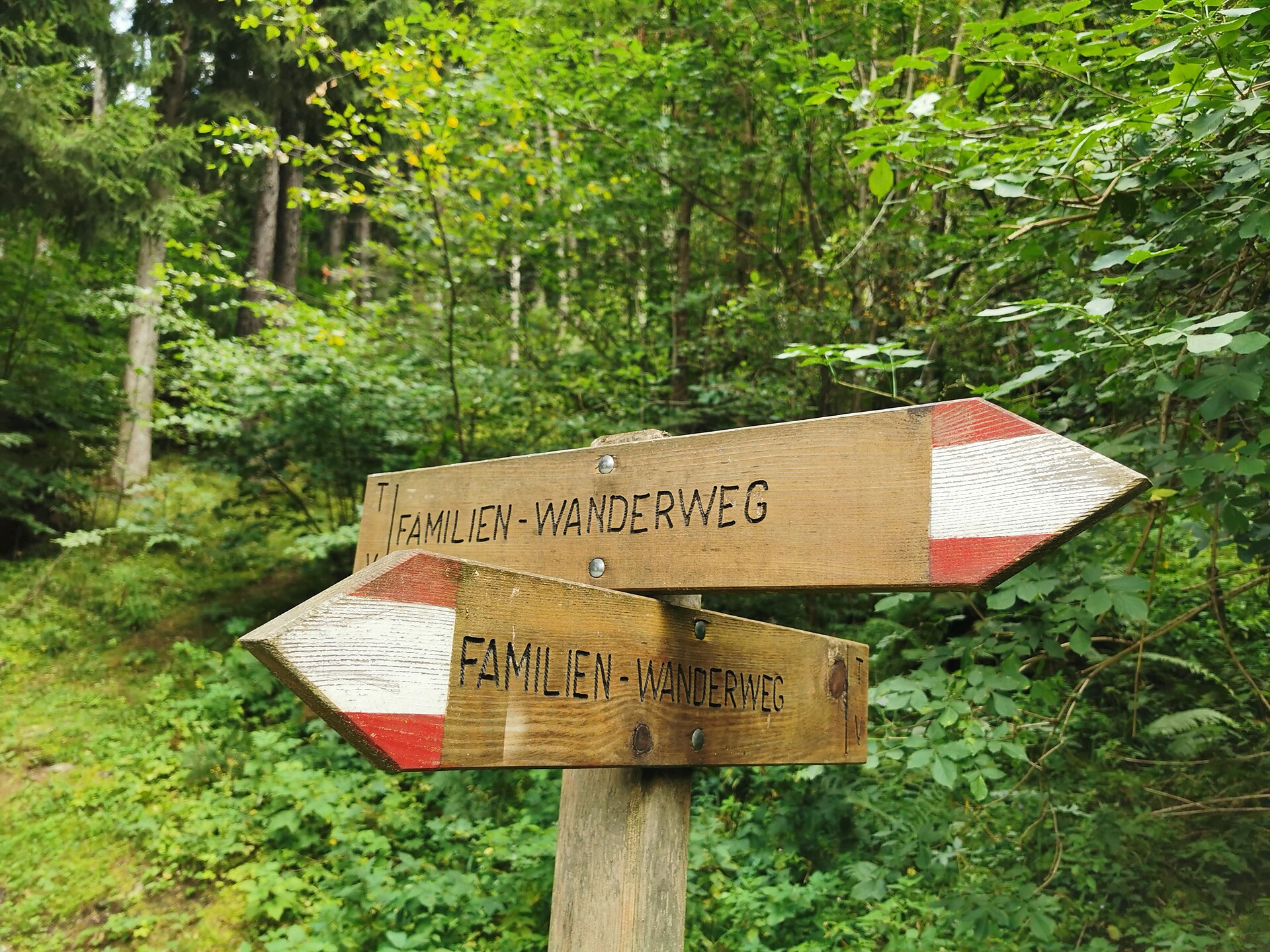 Family trail Quadrat