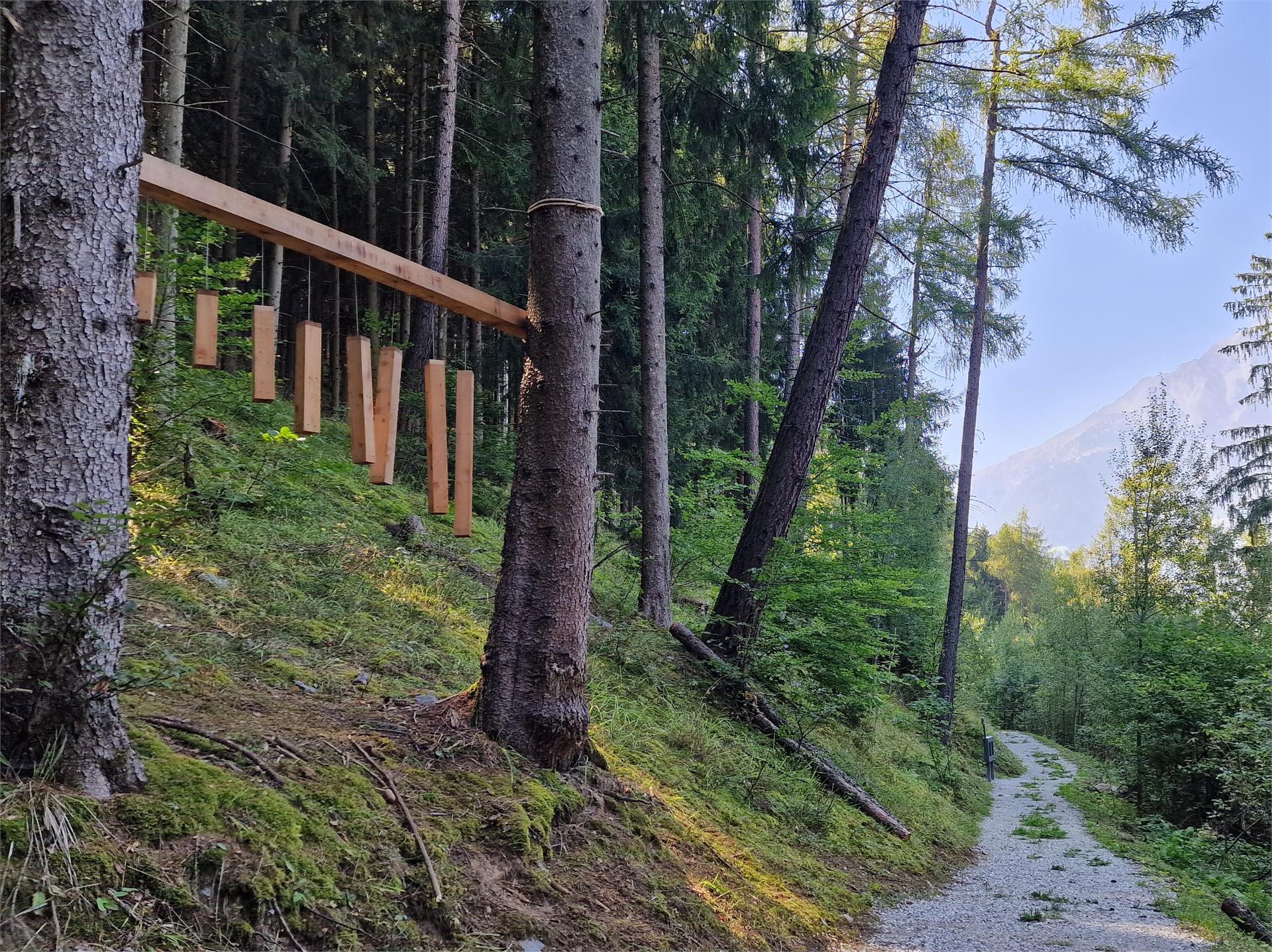 Family trail Quadrat Partschins/Parcines 3 suedtirol.info