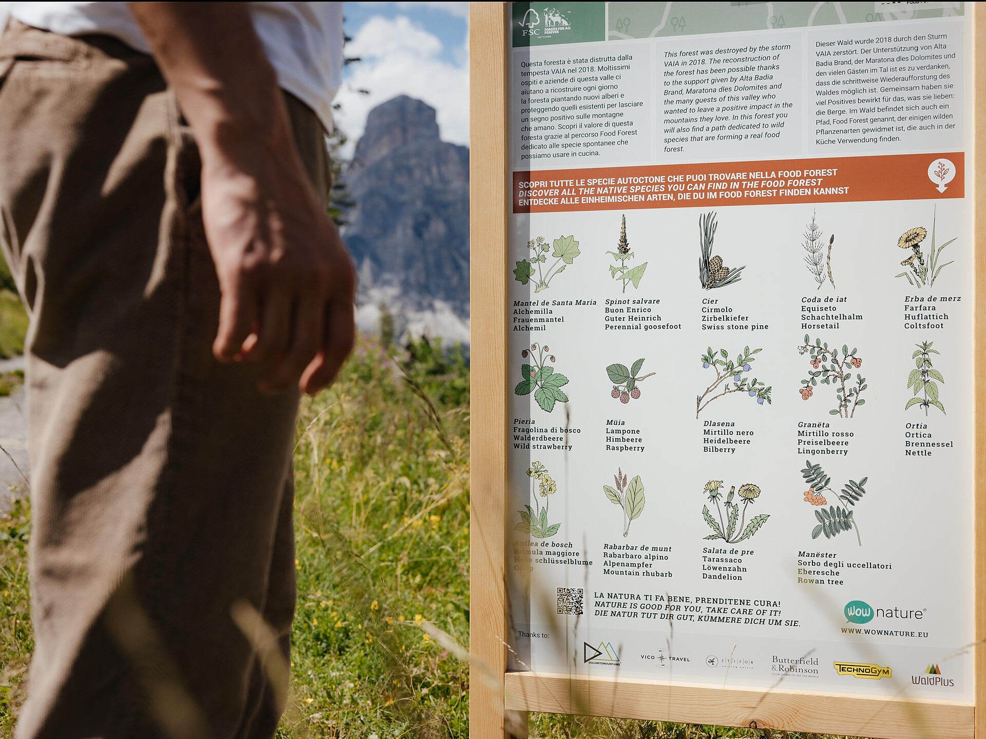 Food Forest, l’orto-bosco di Ciaulunch Corvara 2 suedtirol.info