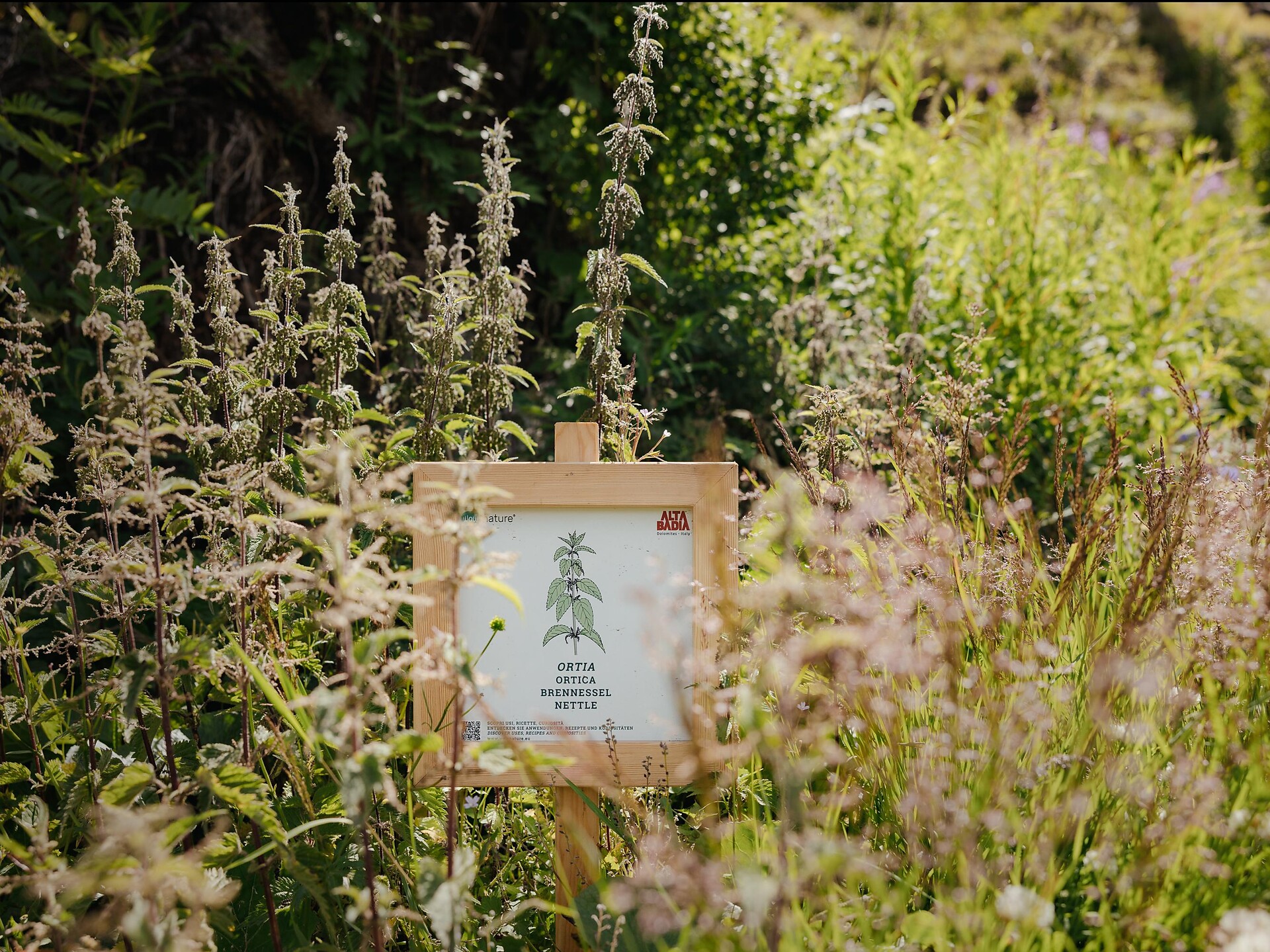 Food Forest, l’orto-bosco di Ciaulunch Corvara 3 suedtirol.info