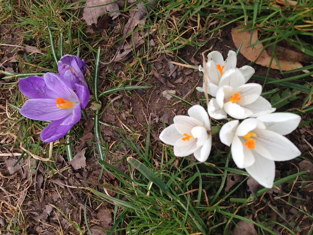 Frühlingstal