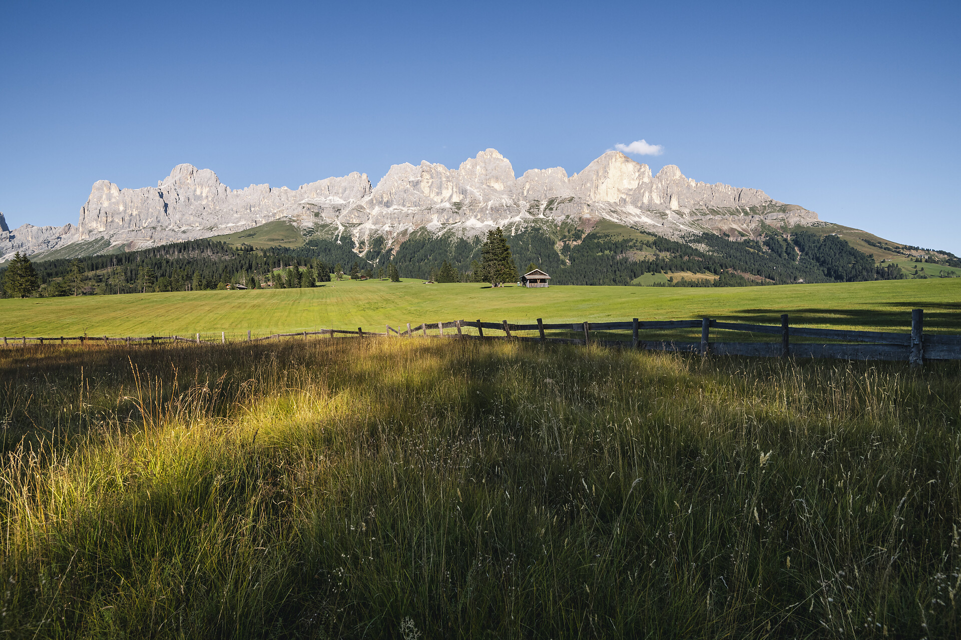 Frin meadows