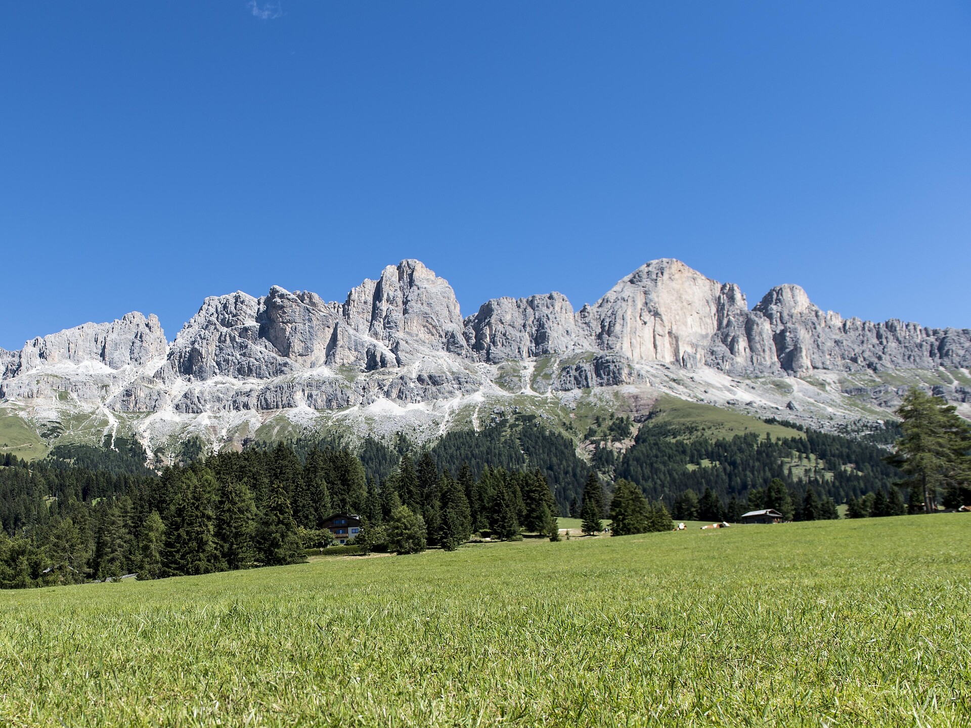 Escursione circolare per famiglie dall'hotel Moseralm ai prati Frin e alla baita Ochsenhütte - Regione dolomitica Val d'Ega - #2 - suedtirol.info