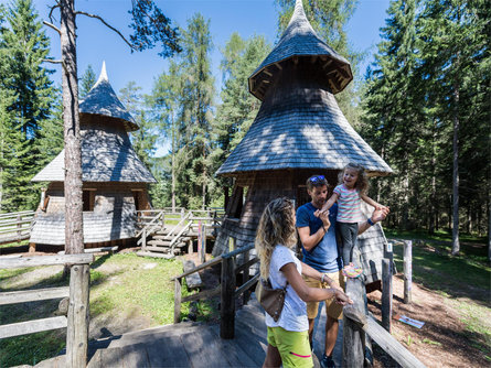 Passeggiata per famiglie: Mondo magico della foresta - sorgenti della Drava Dobbiaco 2 suedtirol.info