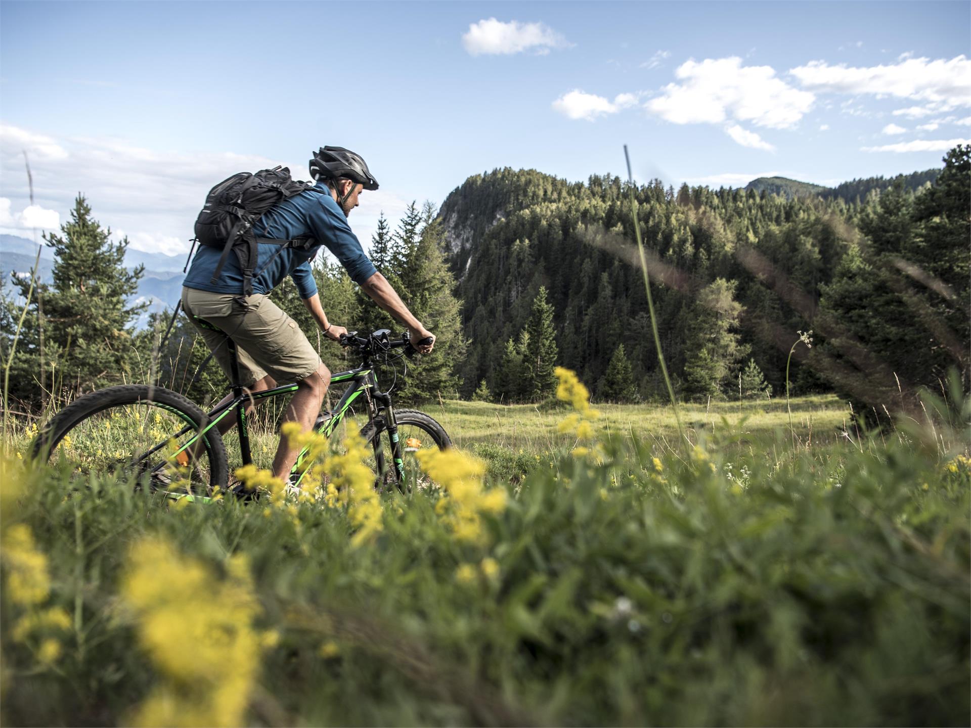 Kaltern Bike Graveltour: "Fennberg" Kaltern an der Weinstraße/Caldaro sulla Strada del Vino 1 suedtirol.info