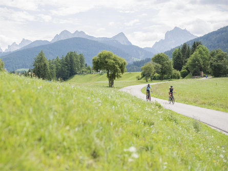 Pustertal Valley Cycle Route: Leg Innichen/San Candido - Toblach/Dobbiaco - Bruneck/Brunico Toblach/Dobbiaco 1 suedtirol.info