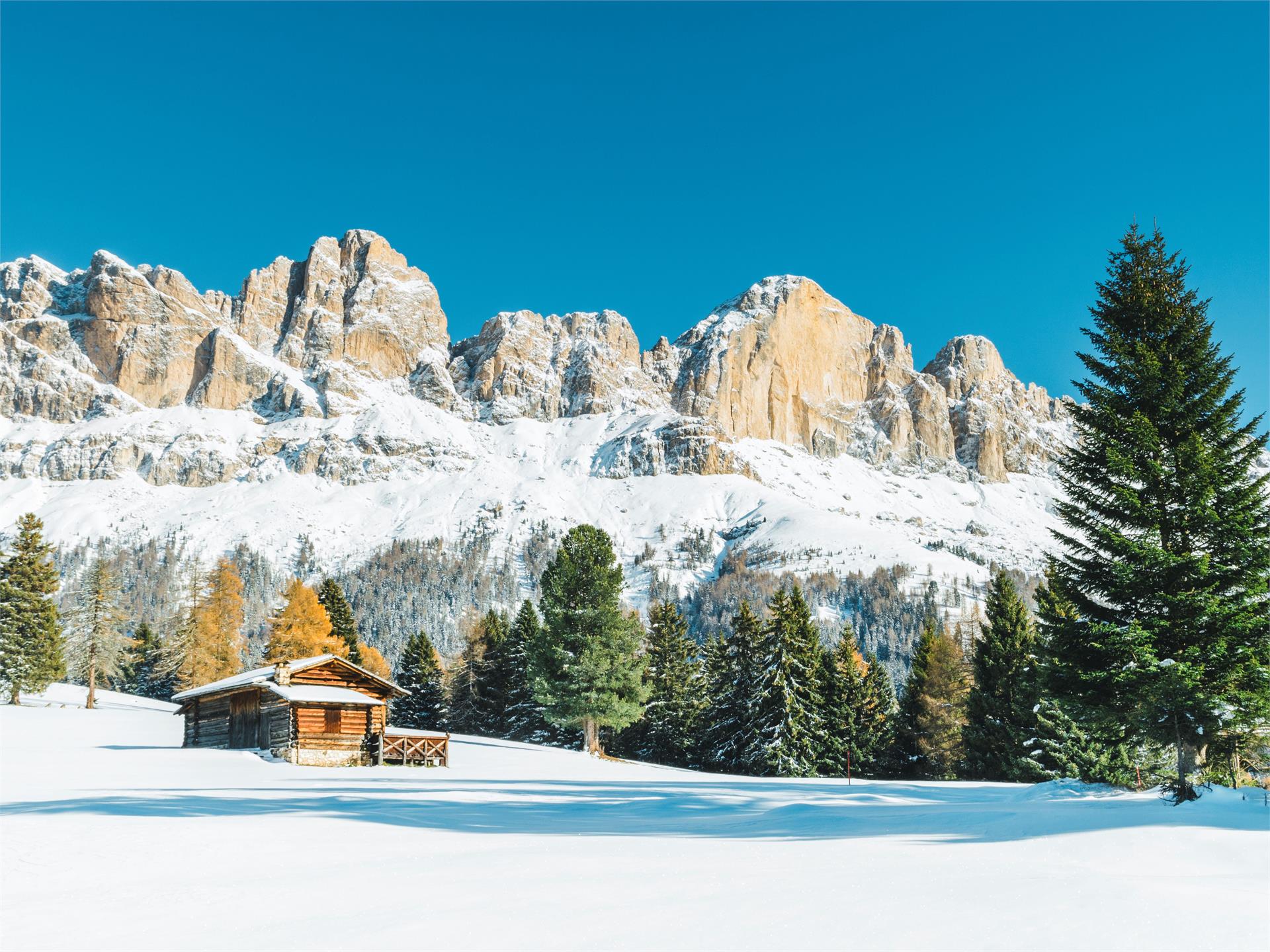 Winterwanderung auf die Frinwiesen in Karersee Welschnofen 1 suedtirol.info