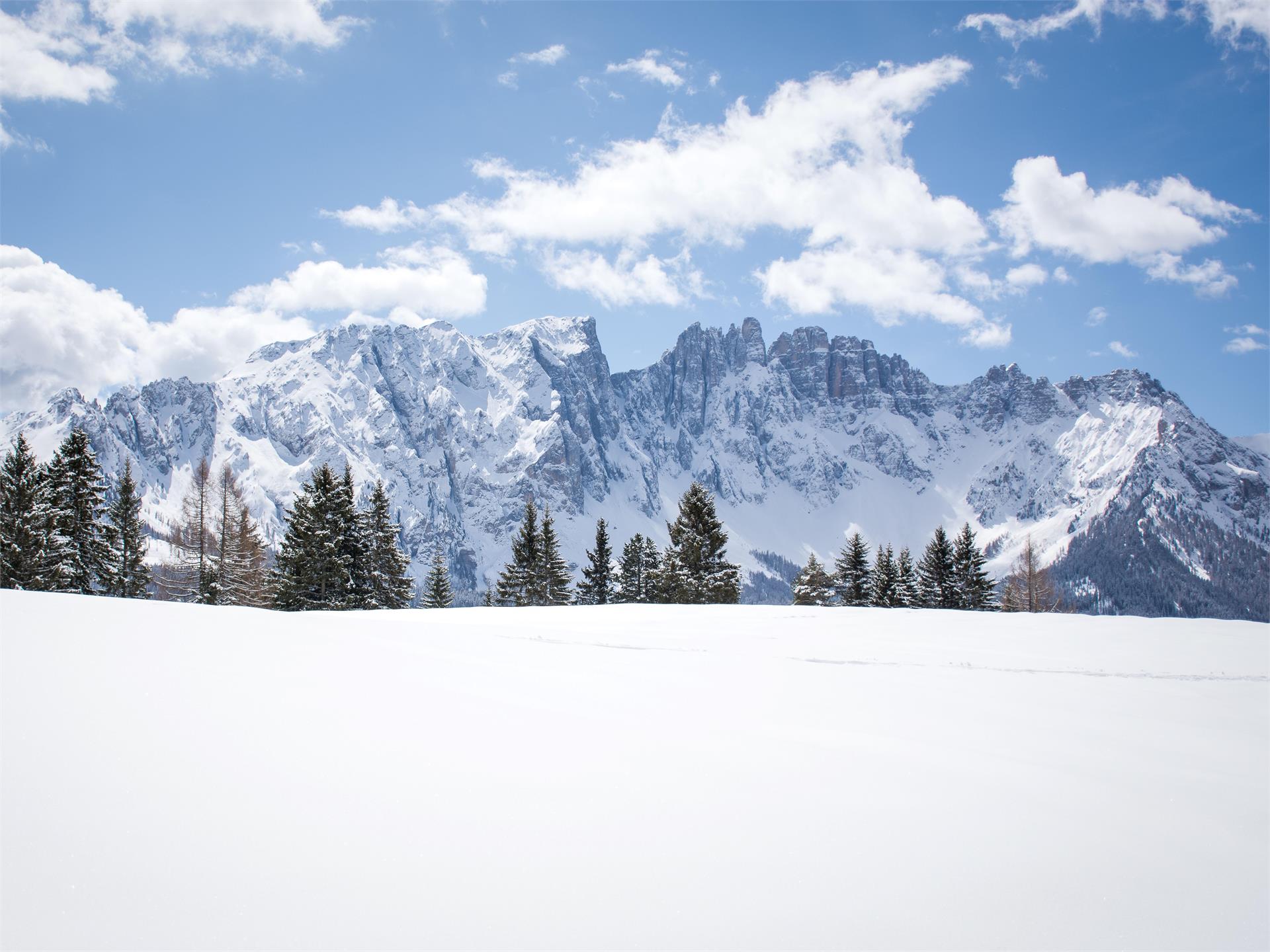 Winterwanderung auf die Frinwiesen in Karersee Welschnofen 4 suedtirol.info