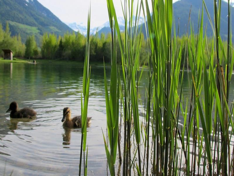 Familienwanderung auf dem Naturerlebnispfad "Prader Sand" Prad am Stilfser Joch 4 suedtirol.info