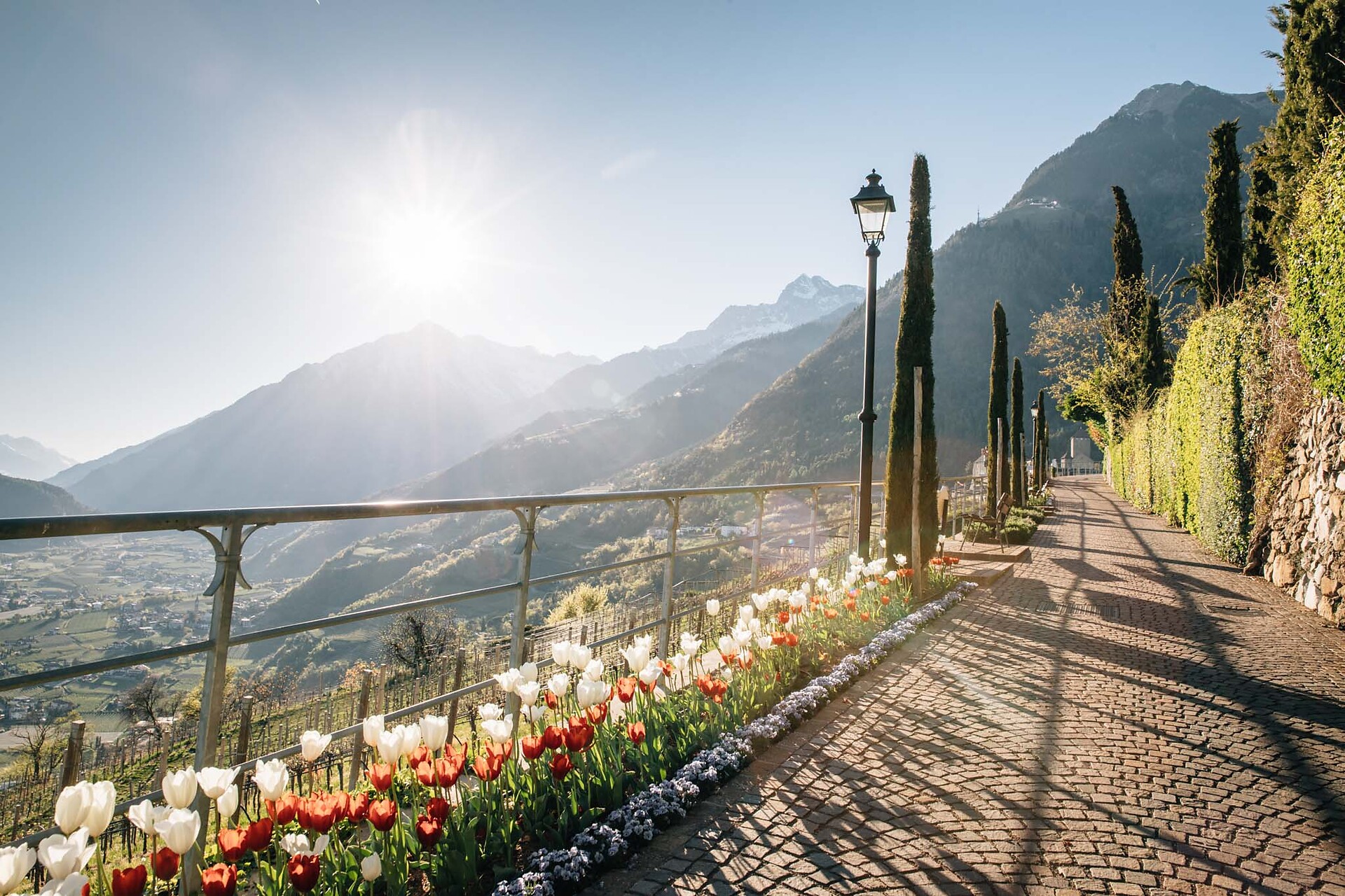 Falknerpromenade_Frühling