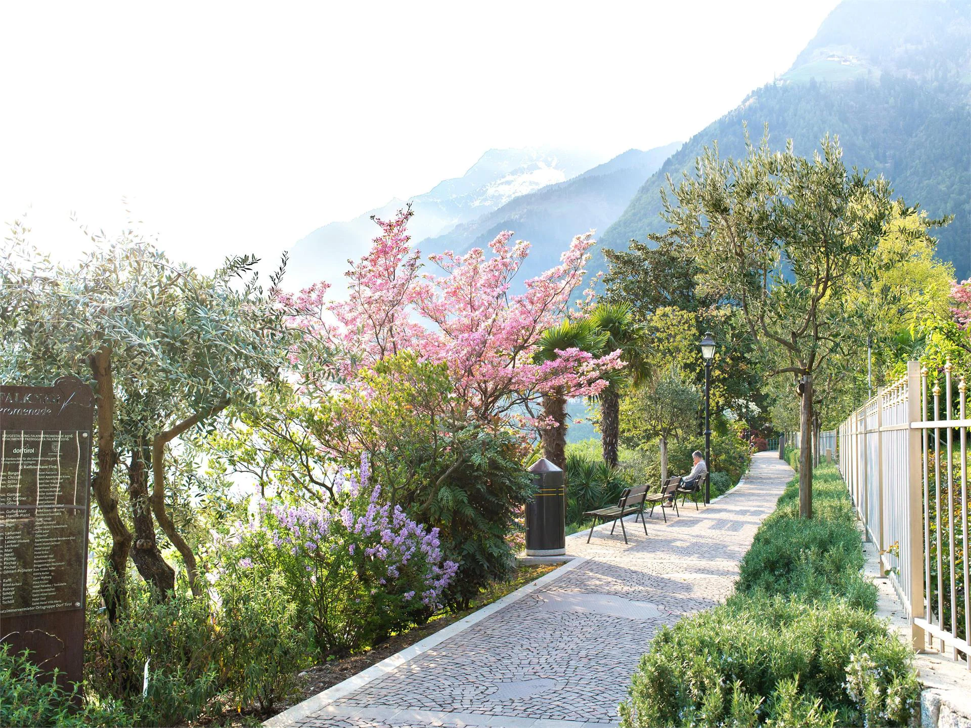Falkner Promenade Tirol/Tirolo 4 suedtirol.info