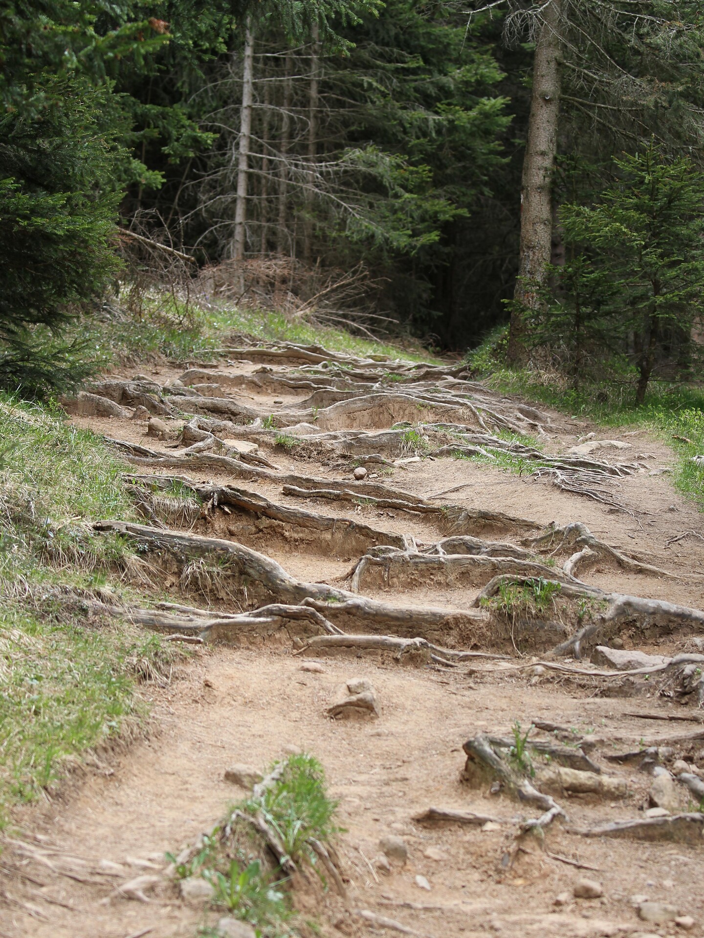trail