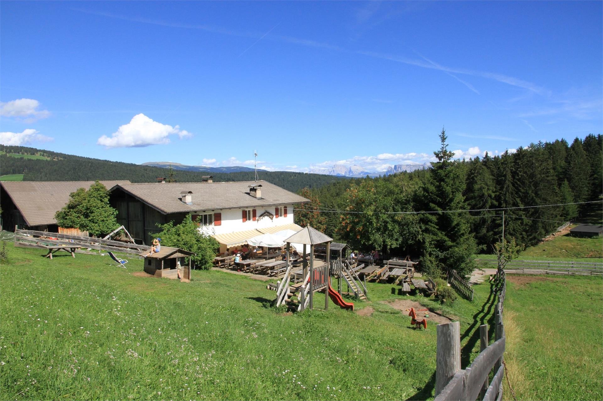 Frühlingswanderung auf die Blumenwiesen Mölten 8 suedtirol.info