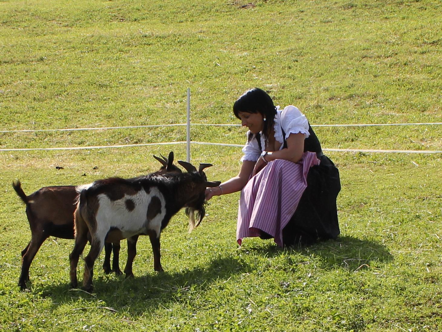 Frühlingswanderung auf die Blumenwiesen Mölten 10 suedtirol.info