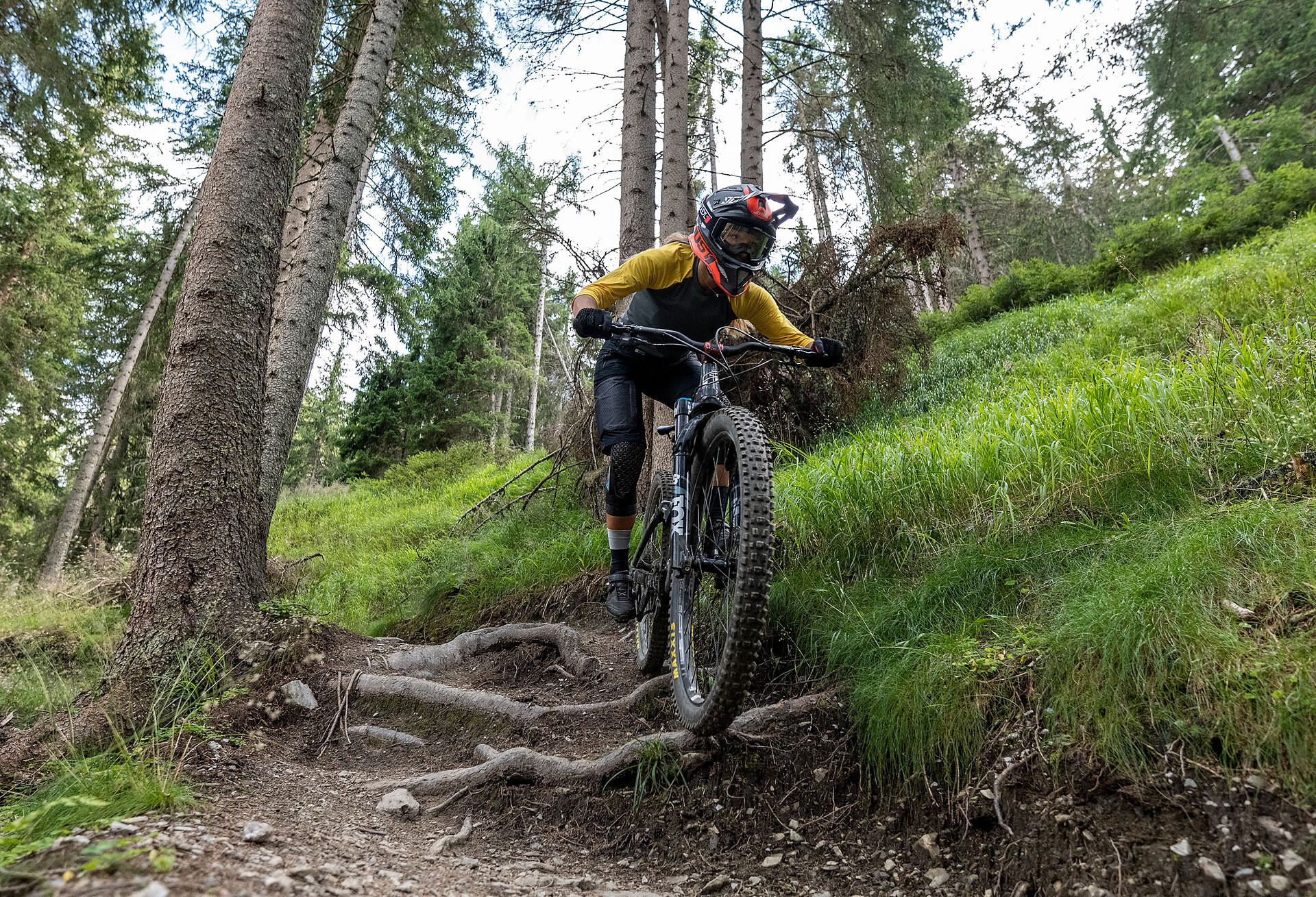 Franz Trail
