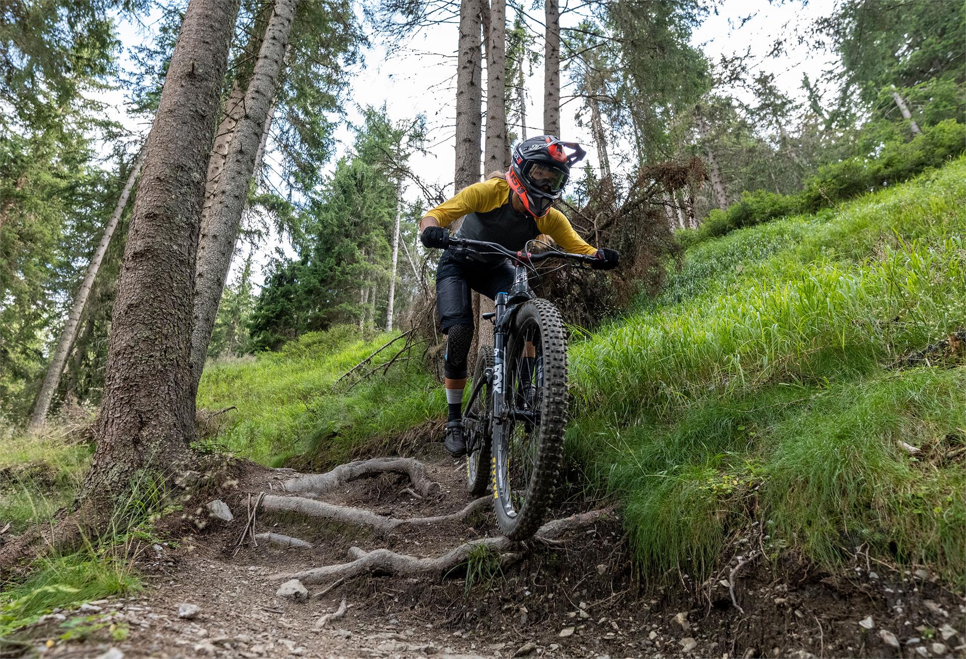 Franz Trail Brunico 1 suedtirol.info