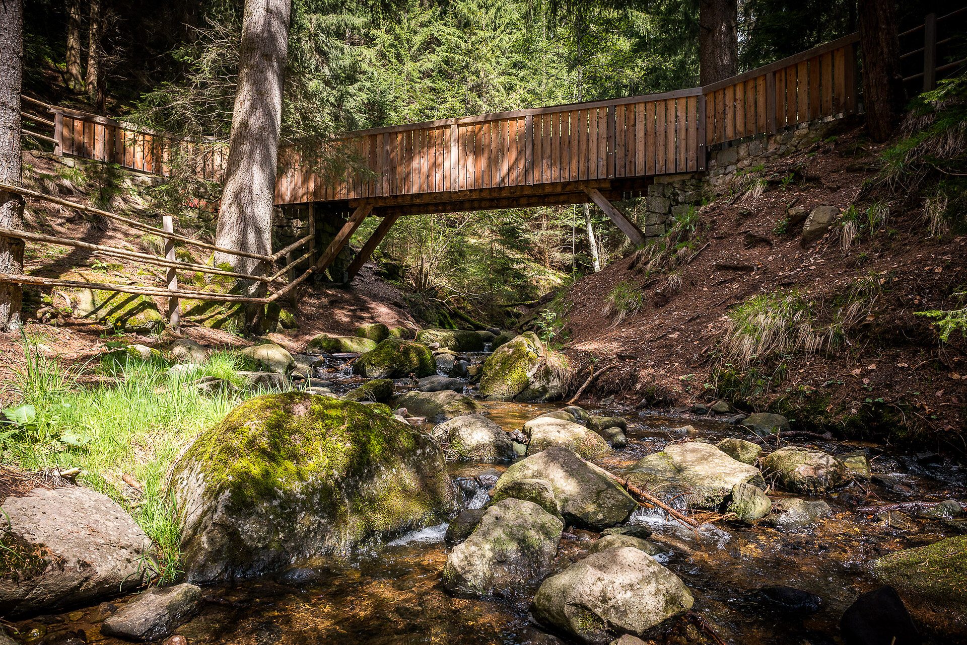 Freud Promenade Ritten