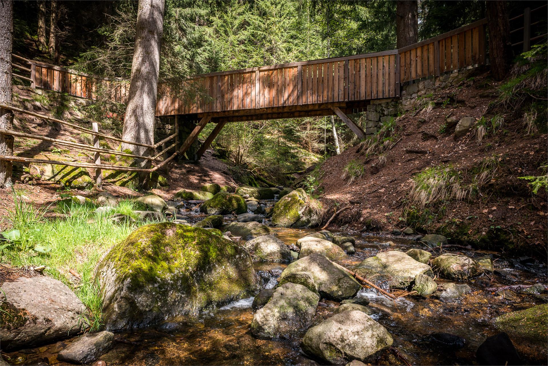 Freud Promenade Renon 4 suedtirol.info