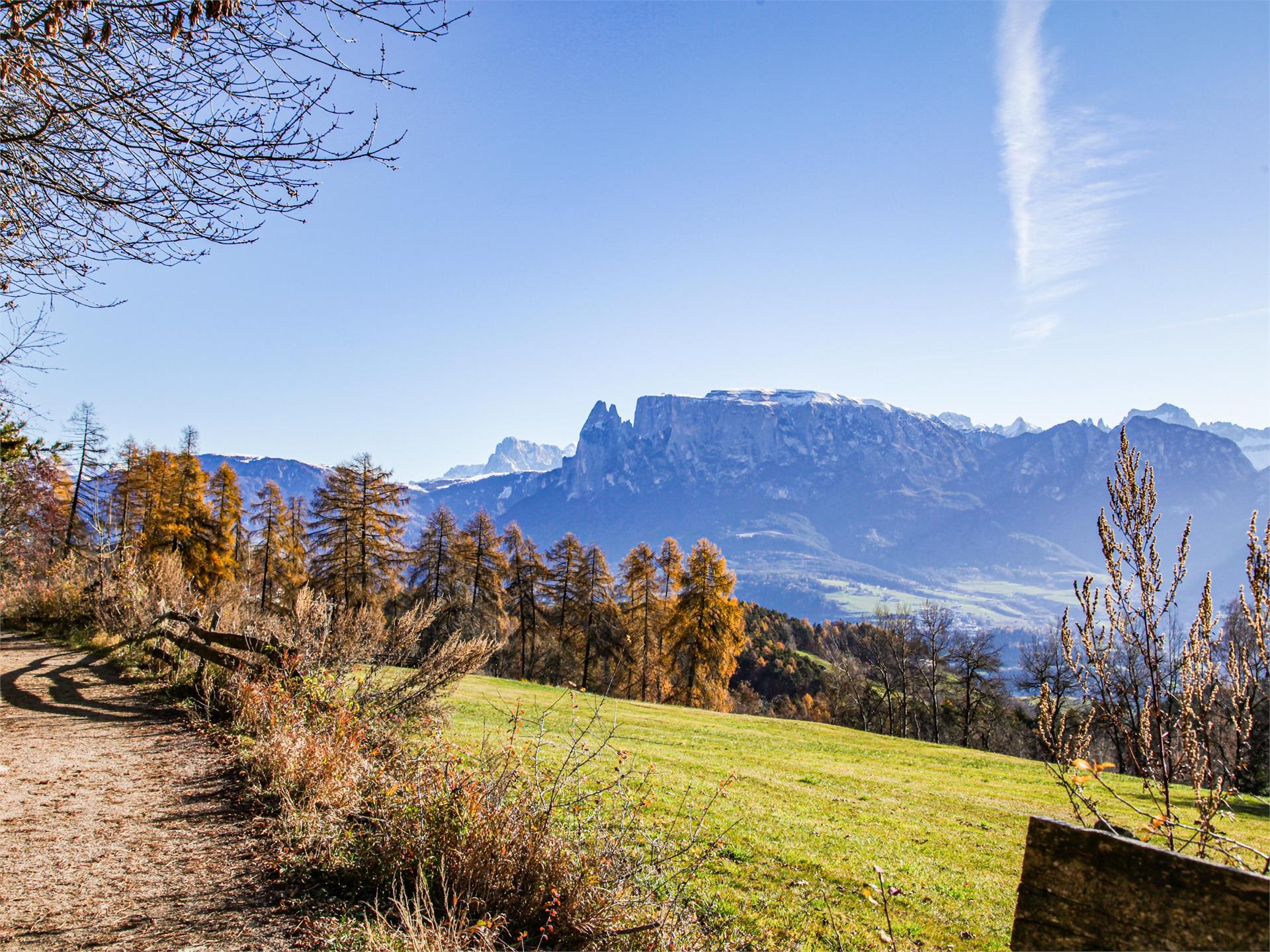 Freud Promenade Renon 1 suedtirol.info