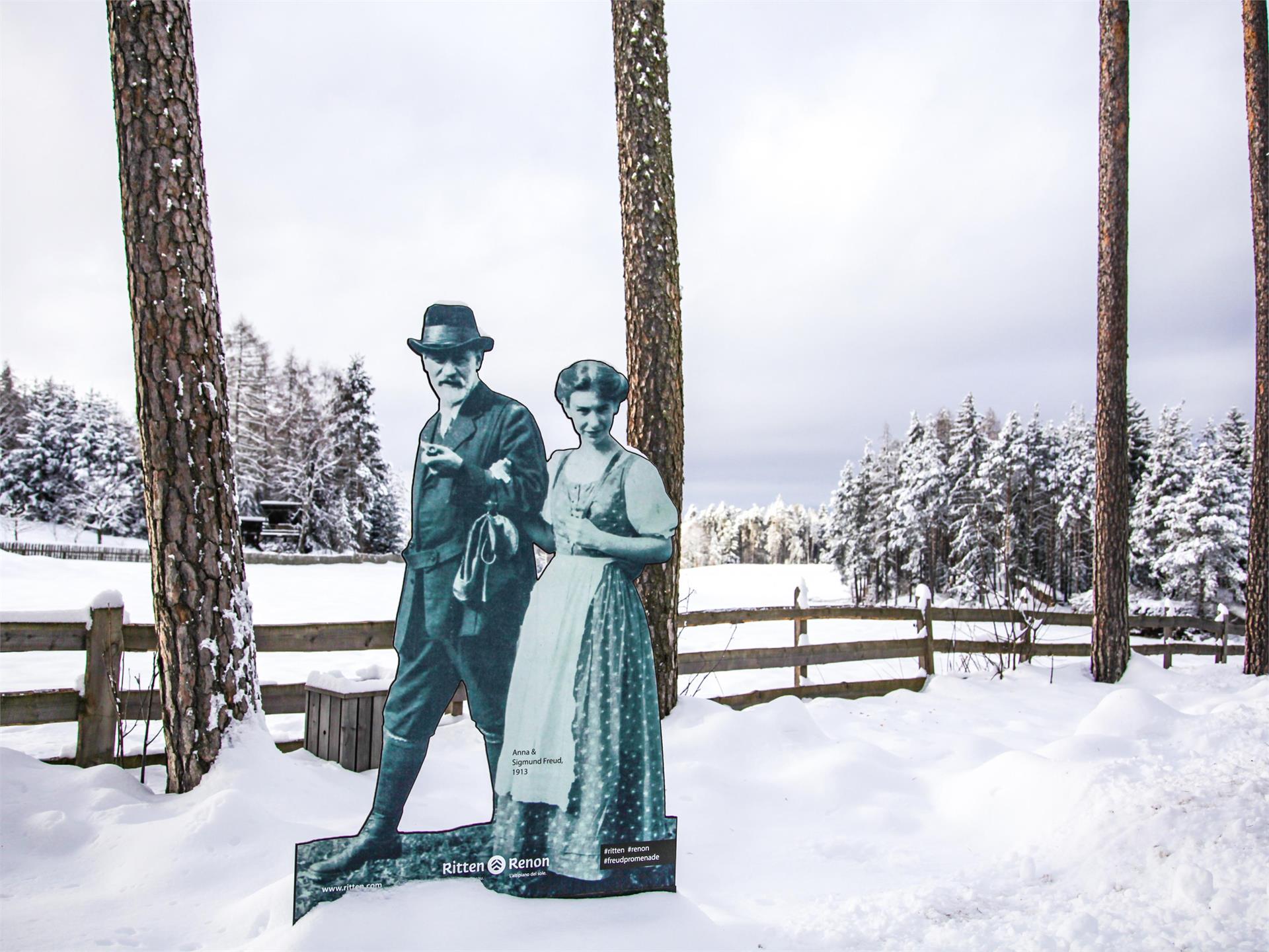 Freud Promenade Renon 7 suedtirol.info