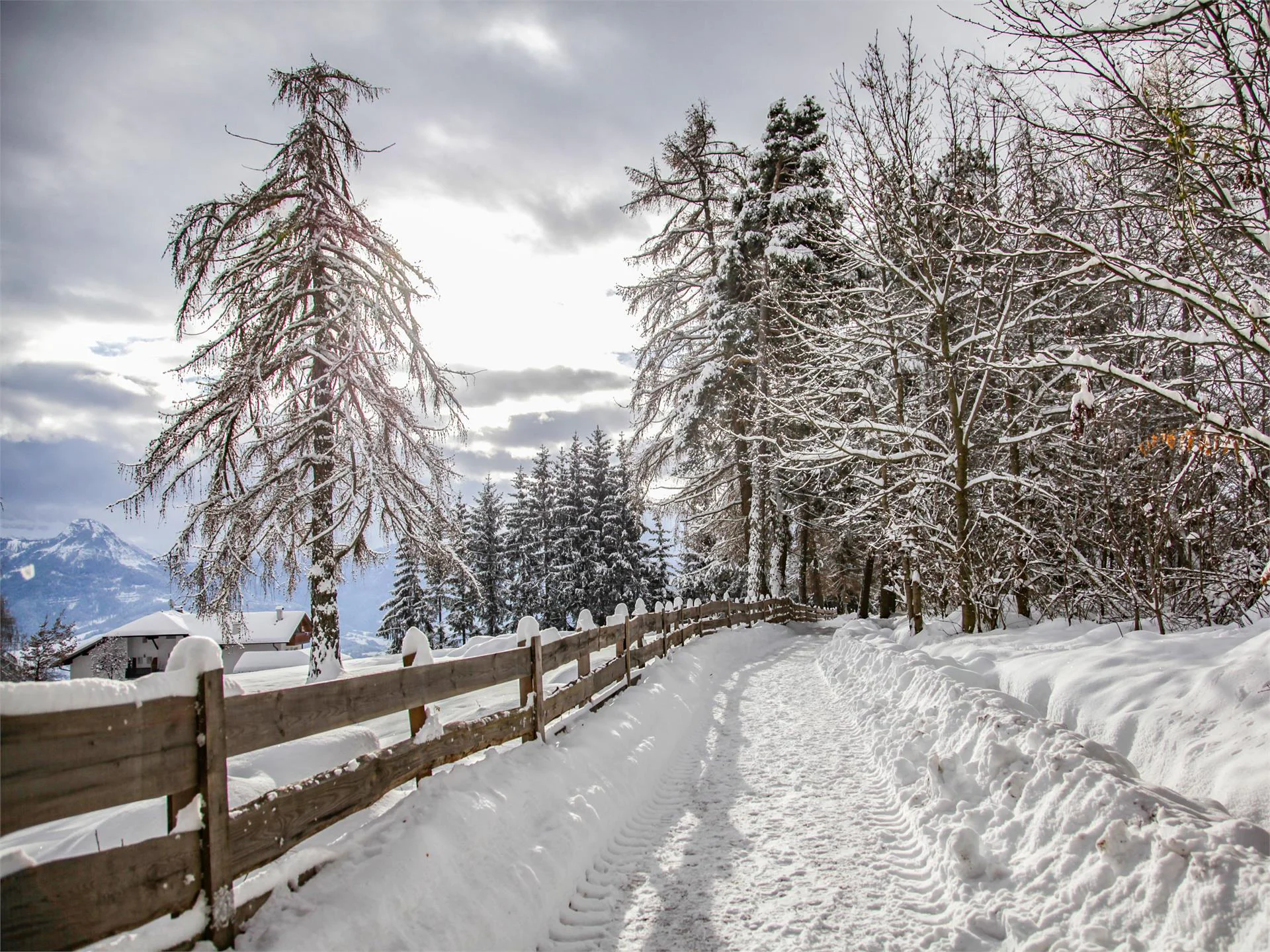 Freud Promenade Ritten/Renon 11 suedtirol.info