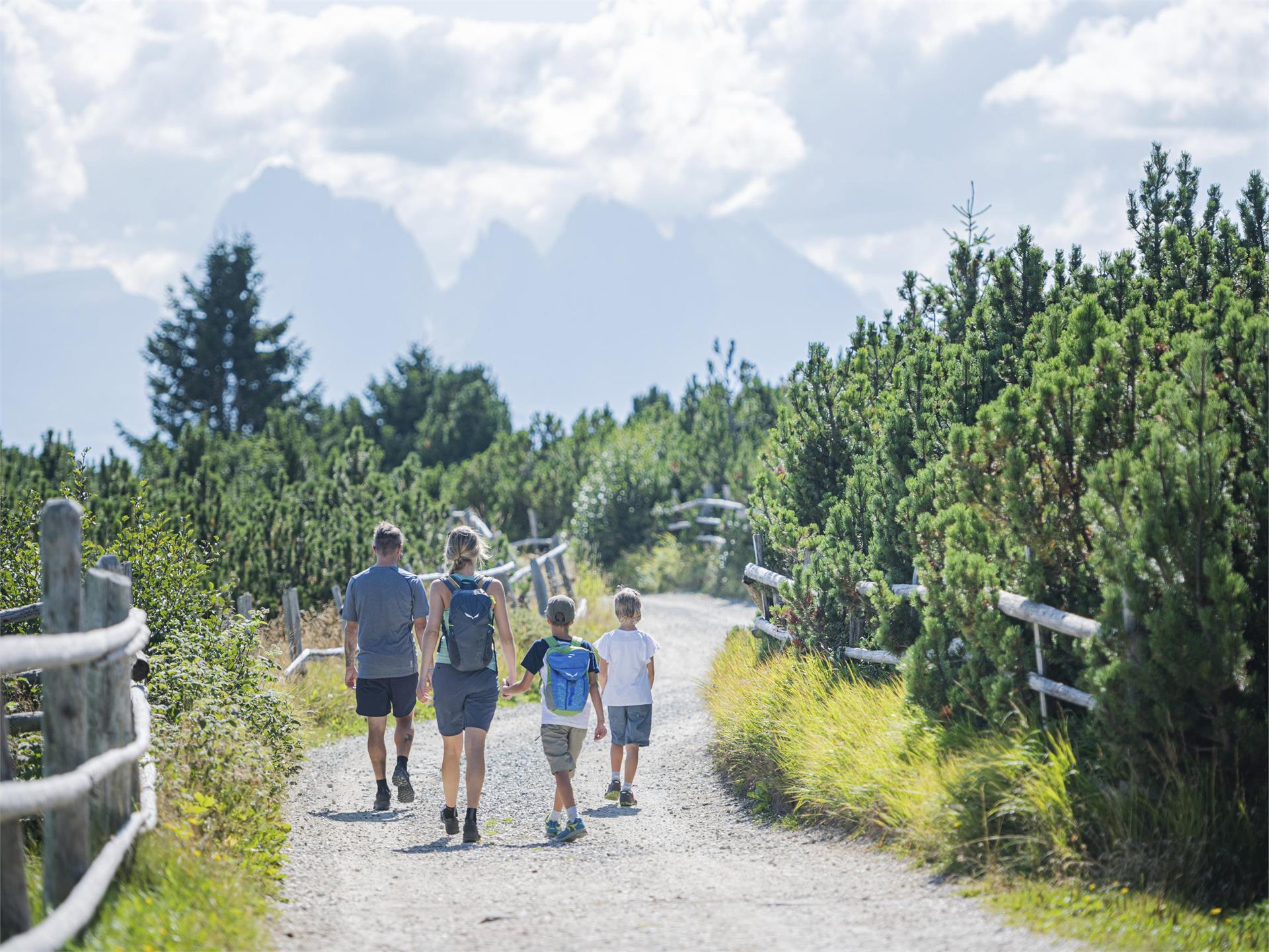 Familienwanderweg auf der Villanderer Alm Villanders 1 suedtirol.info