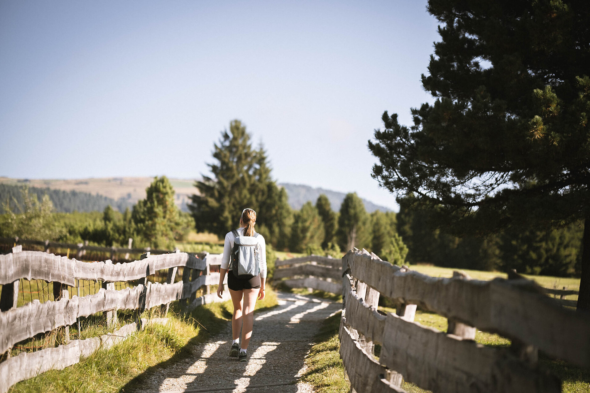 Familienwanderweg auf der Villanderer Alm - Brixen und Umgebung - #3 - suedtirol.info