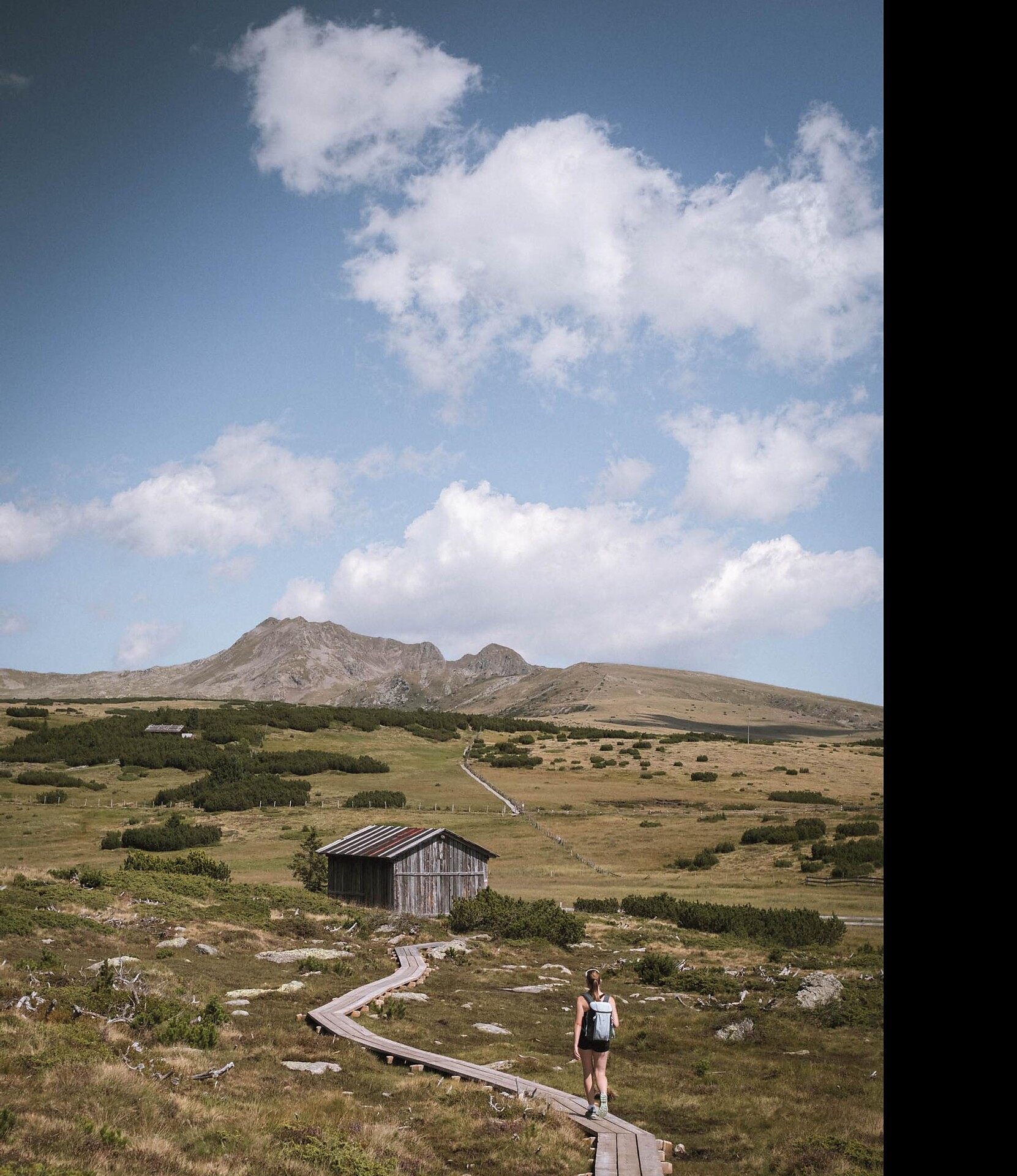 Familienwanderweg auf der Villanderer Alm - Brixen und Umgebung - #2 - suedtirol.info