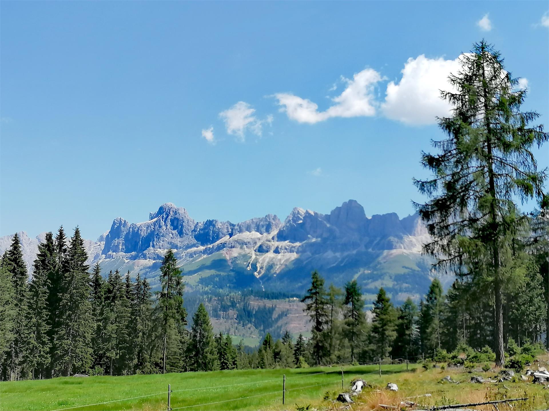 Escursione per famiglie dal Lago di Carezza alla Baita Häusler Sam  4 suedtirol.info