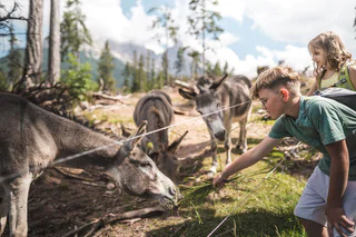 Familienwanderung vom Karer See zum Almgasthaus Häusler Sam - Welschnofen - #3 - suedtirol.info