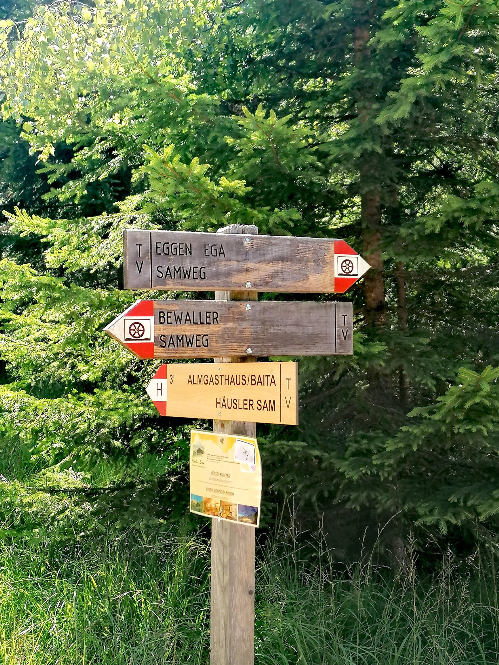 Escursione per famiglie dal Lago di Carezza alla Baita Häusler Sam  3 suedtirol.info
