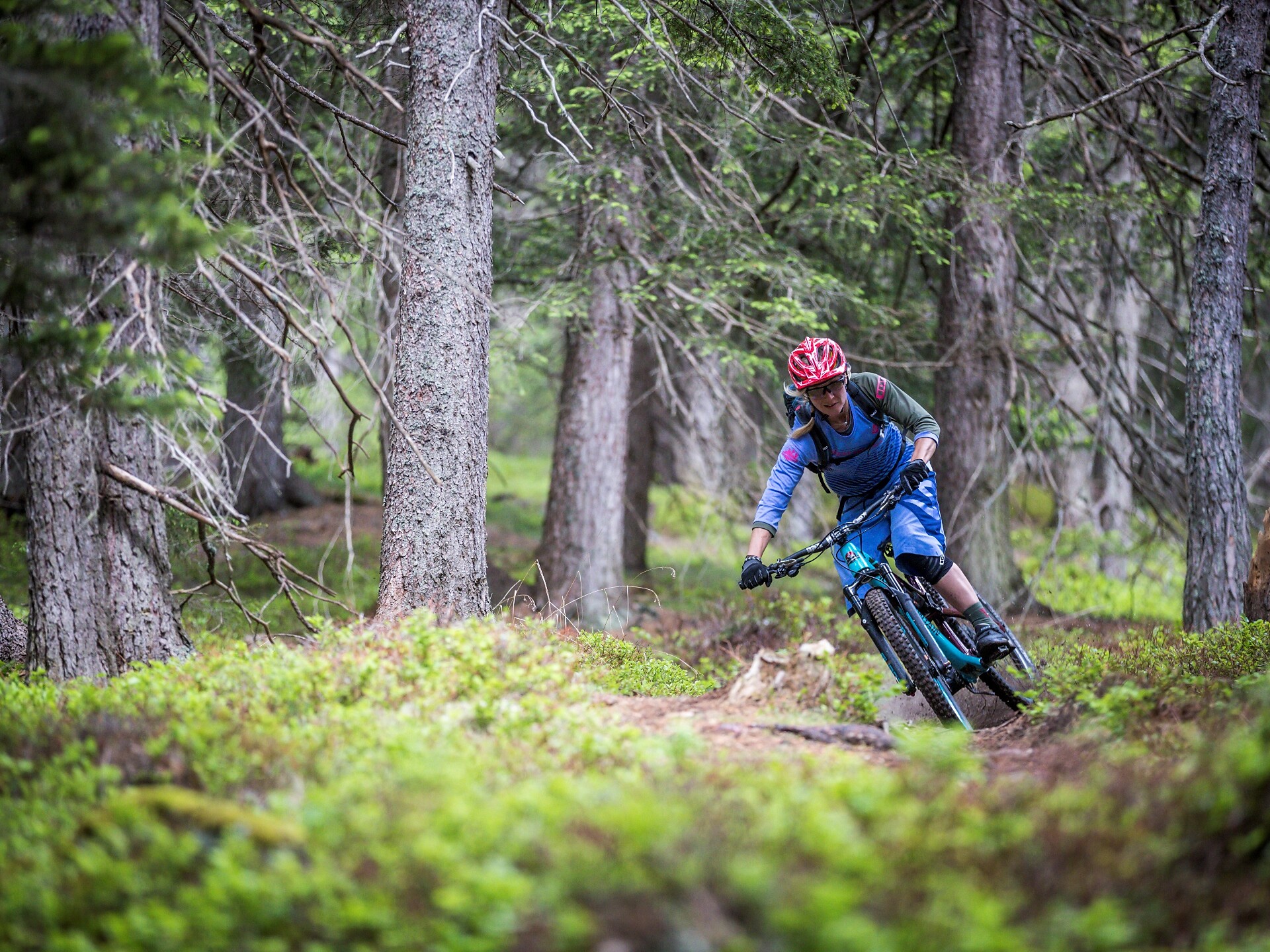 MTB Technik Parcours Signaue