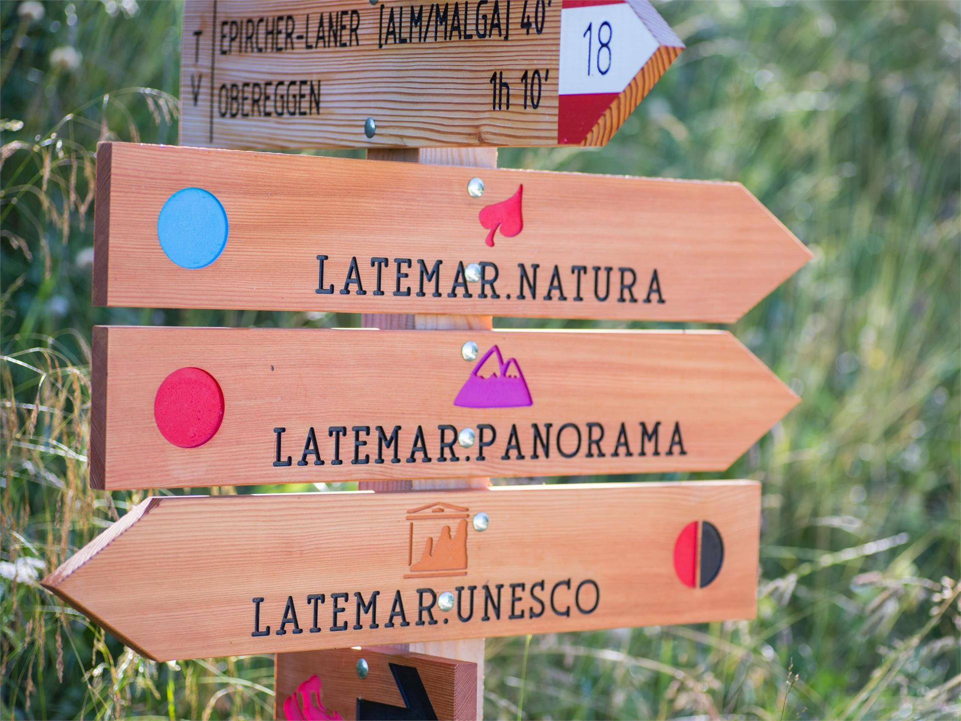LATEMAR.PANORAMA: Escursione per famiglie sul sentiero naturalistico Nova Ponente 1 suedtirol.info