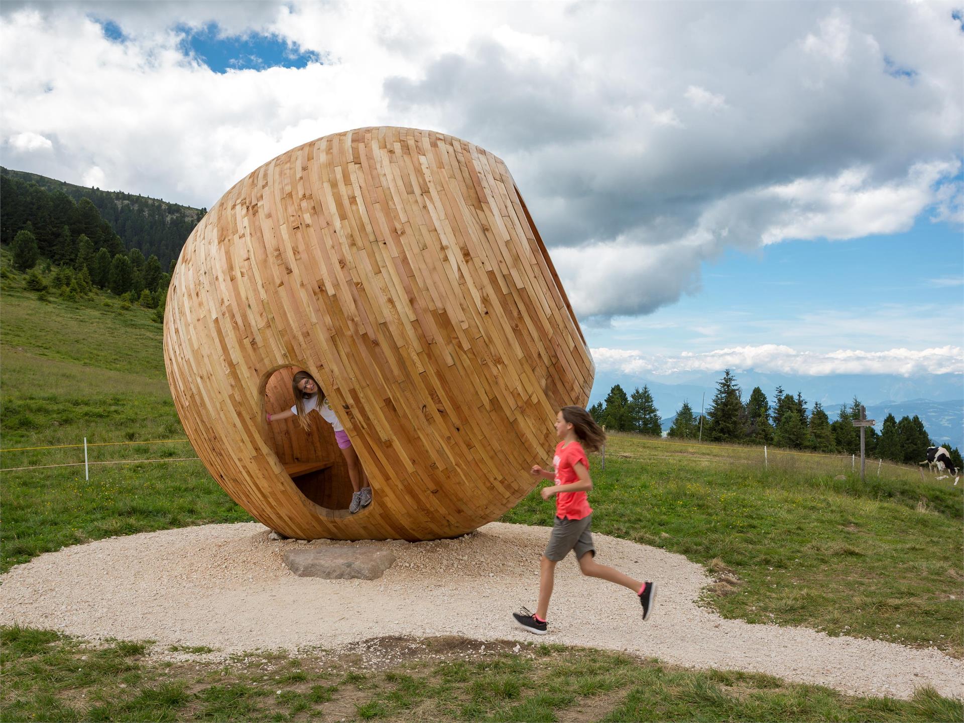 LATEMAR.PANORAMA: Escursione per famiglie sul sentiero naturalistico Nova Ponente 3 suedtirol.info