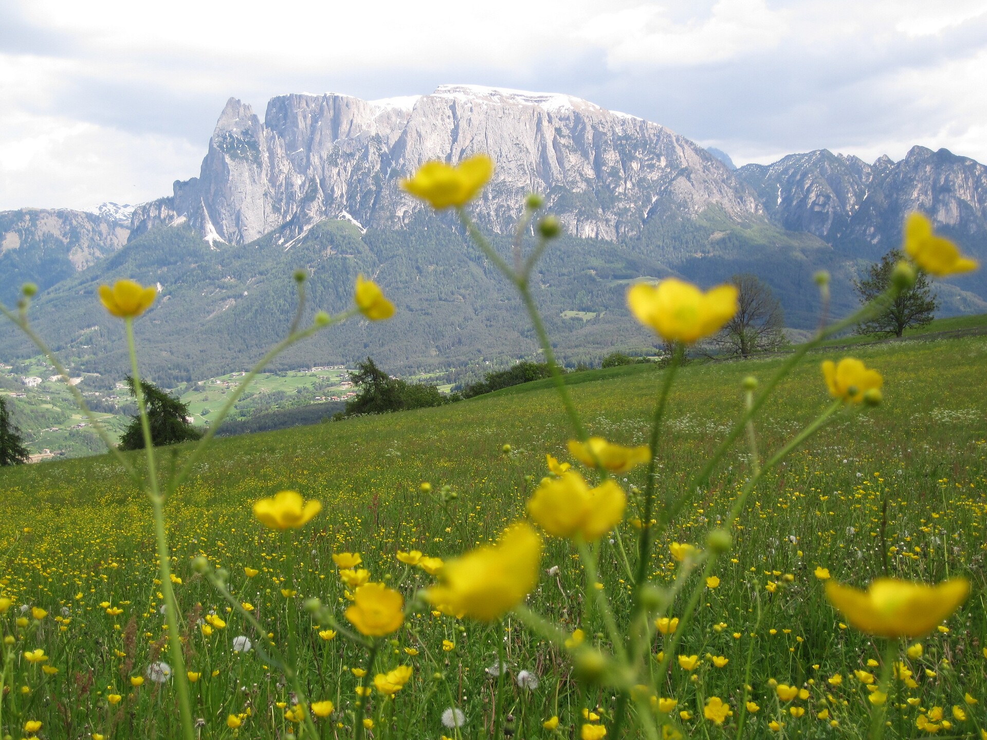 Schlern