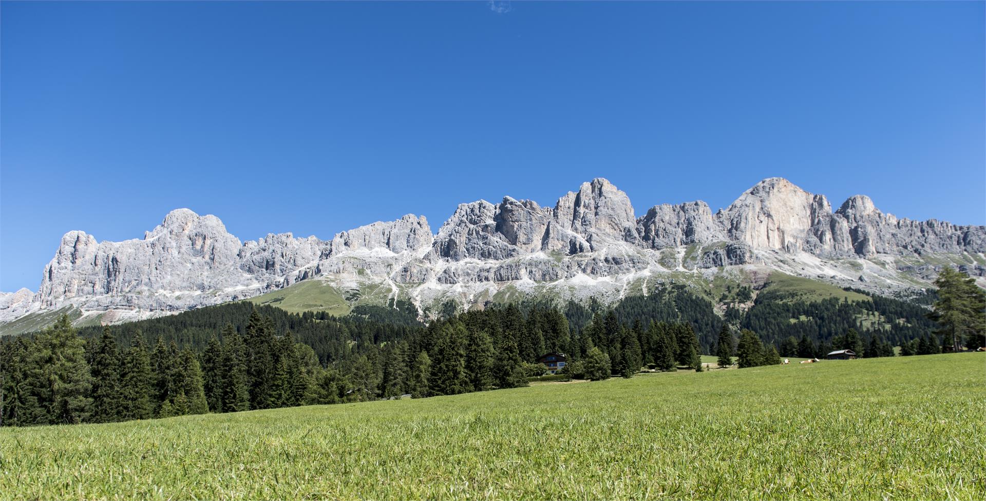 Frin - Kaiserstein Tour Welschnofen 1 suedtirol.info