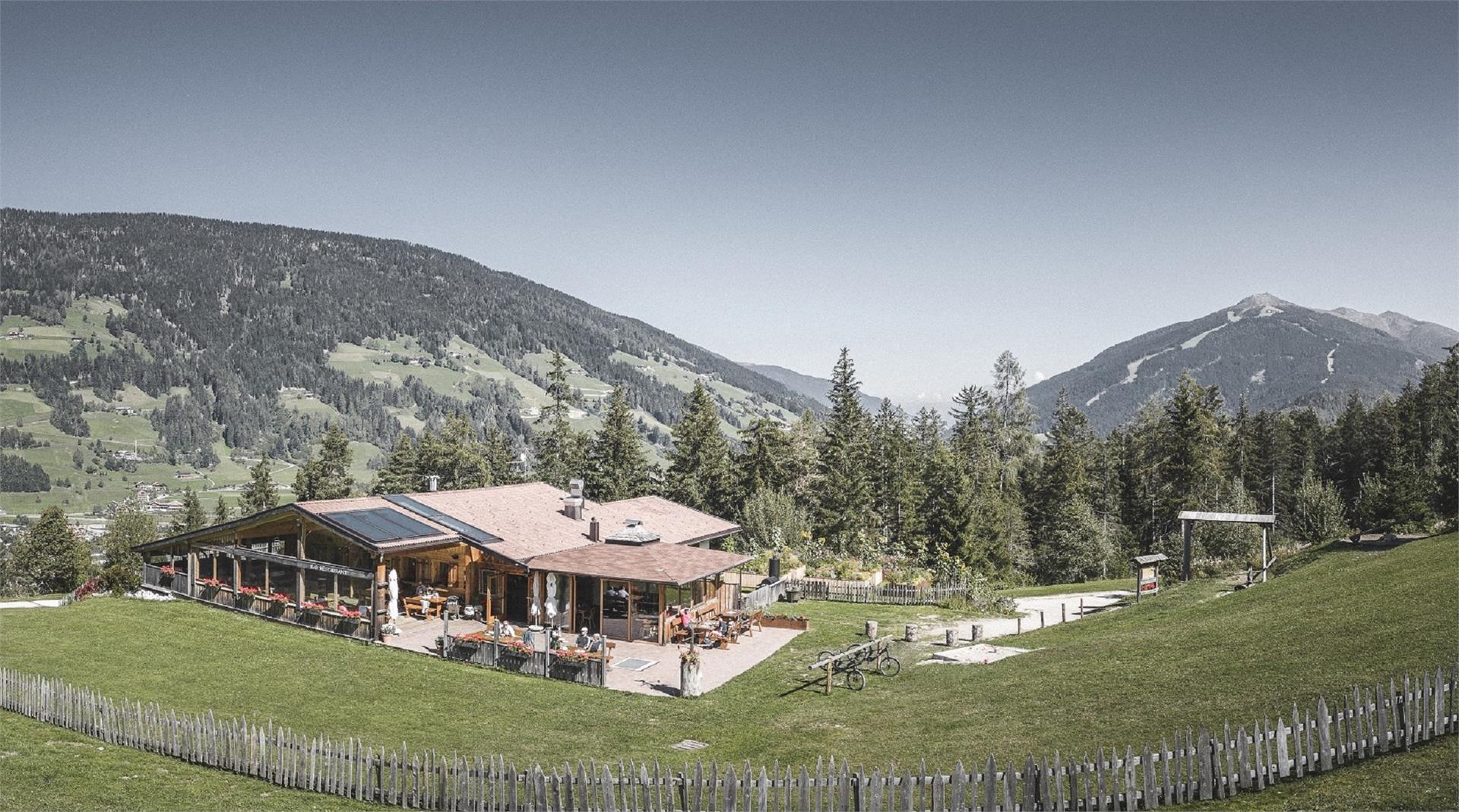 Family hike: Rifugio Jora/Jorahütte Mountain Hut Innichen/San Candido 1 suedtirol.info