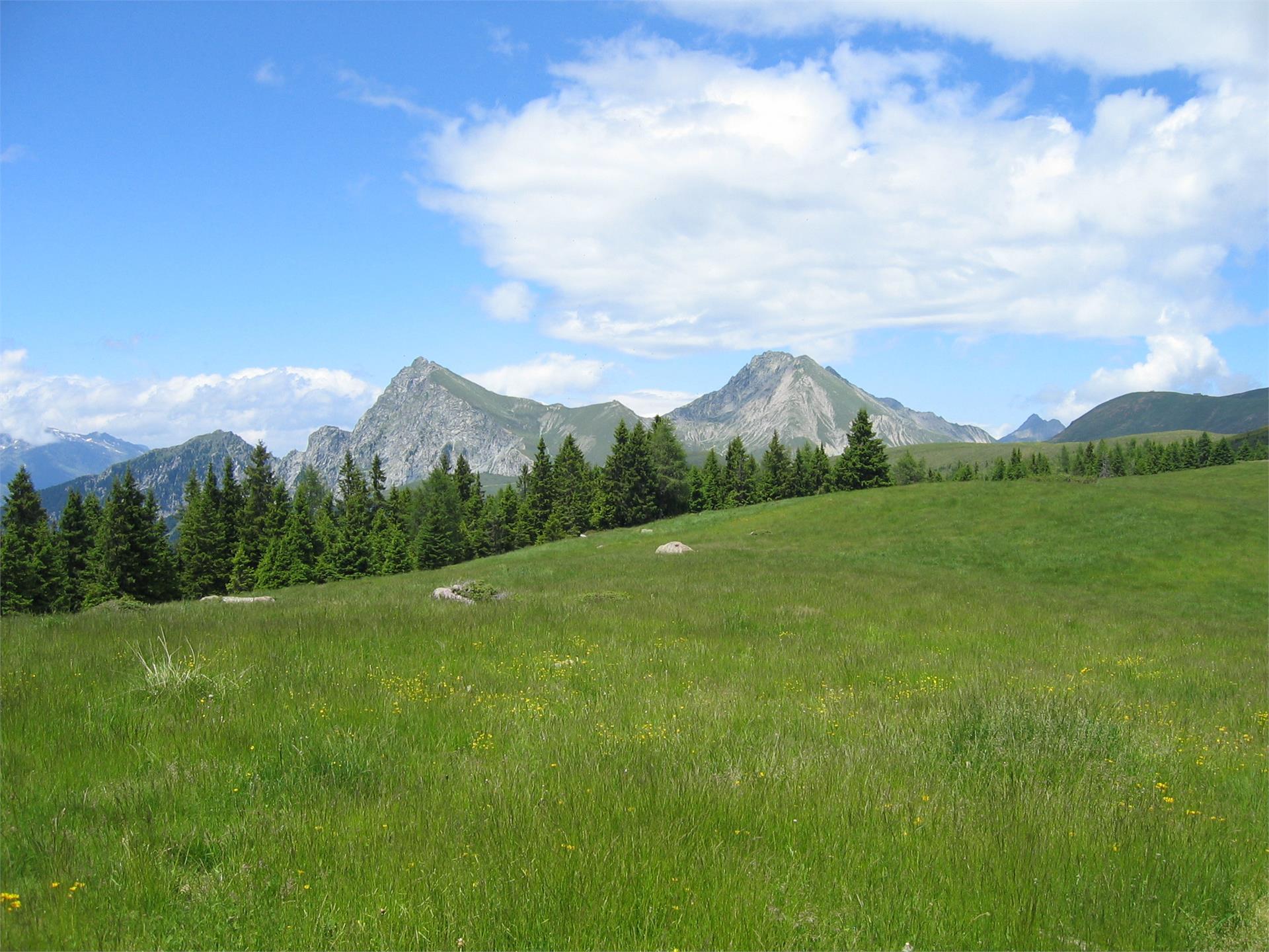 Parcheggio Falzeben - Ifinger Avelengo 4 suedtirol.info