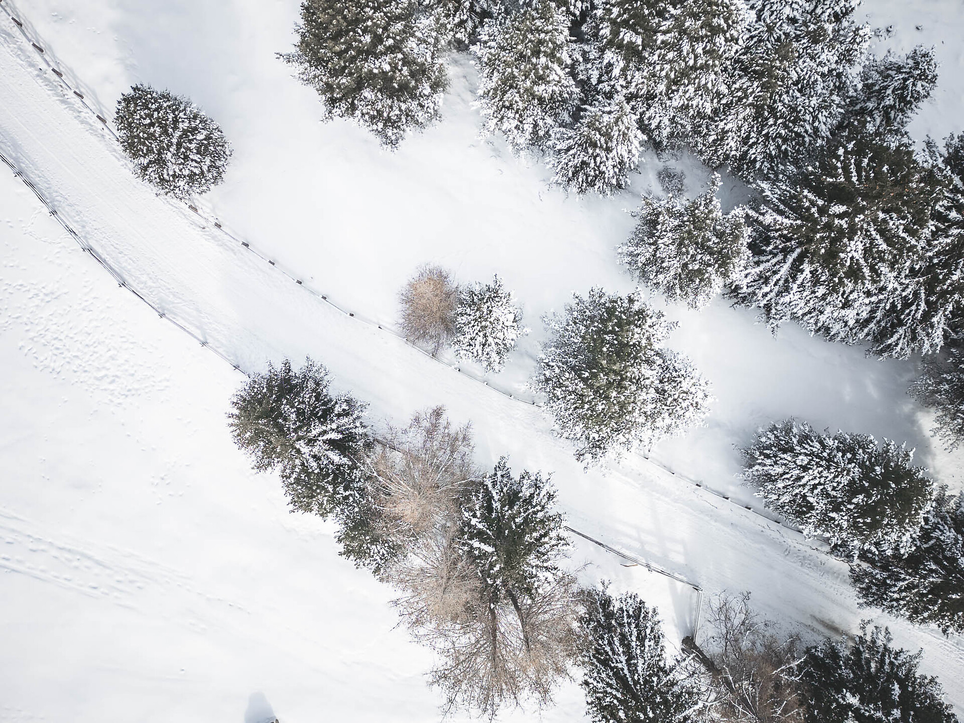 Familienrodelbahn - Mair in Plun Hütte / Rinderplatz Alm - Brixen und Umgebung - #1 - suedtirol.info