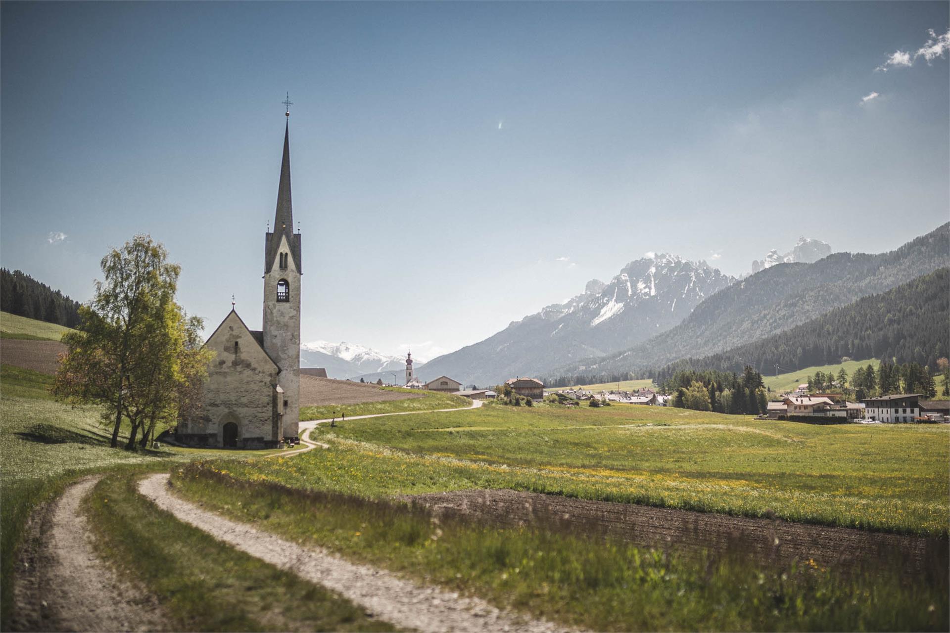 Passeggiata per famiglie: Villabassa - giro del bosco "Mooskirche" - Villabassa Villabassa 1 suedtirol.info