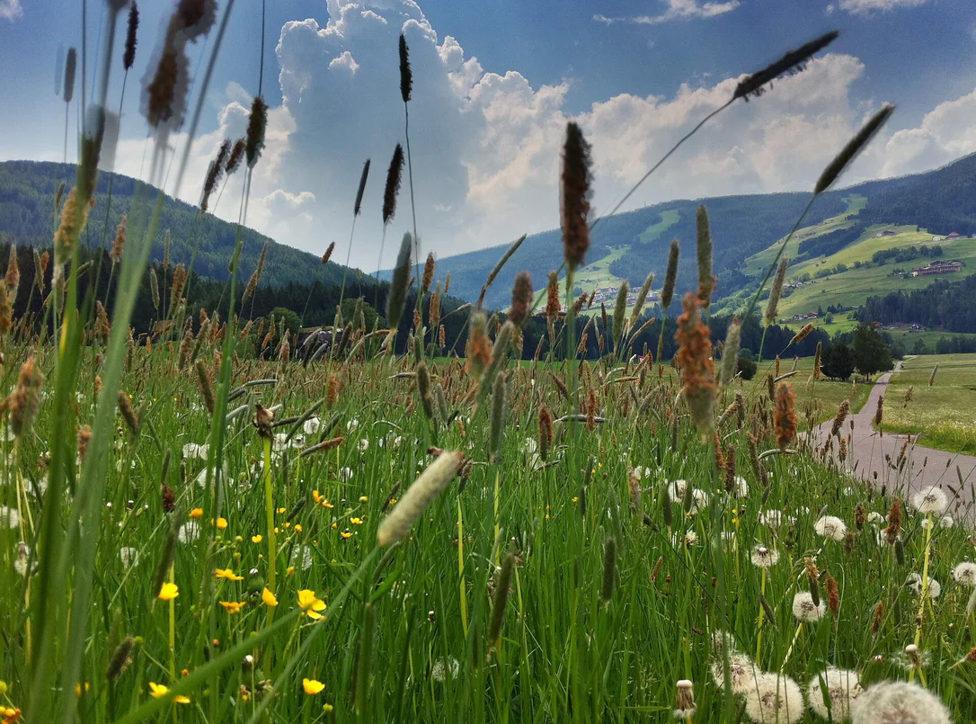 Across the panorama way to Bruneck