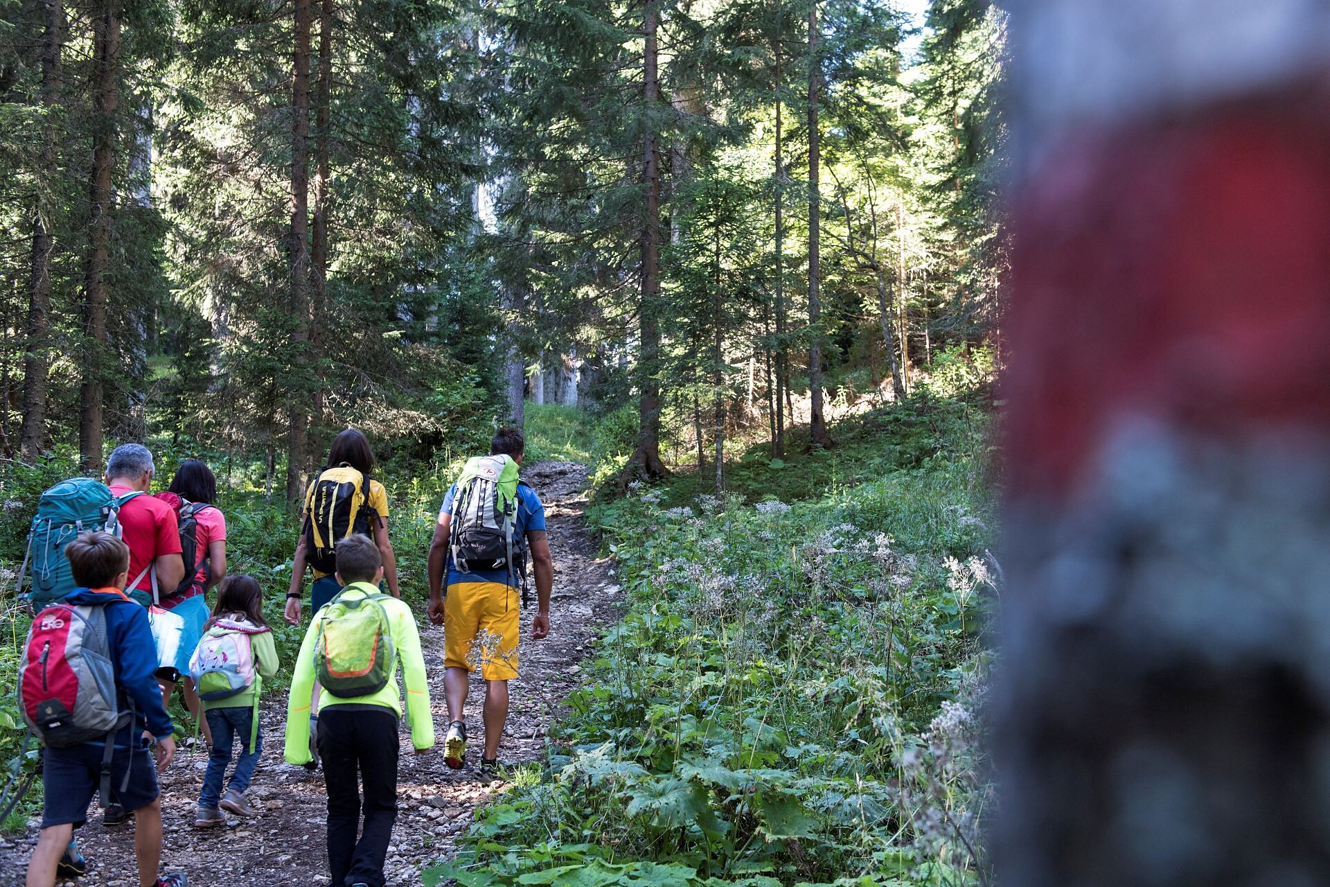 Vom Karerpass ins Felslabyrinth des Latemar -  - #4 - suedtirol.info