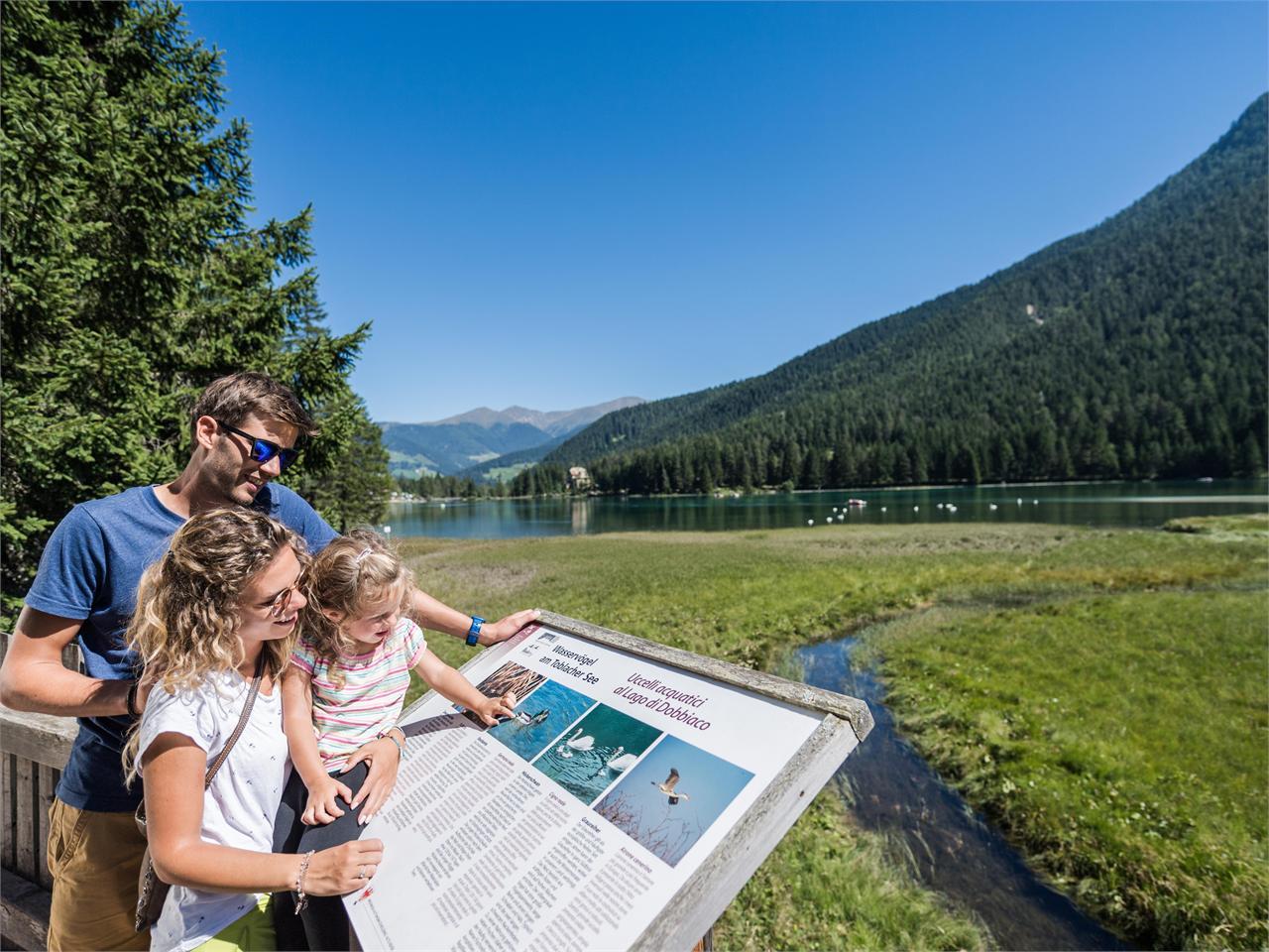 Passeggiata per famiglie: Dobbiaco – Lago di Dobbiaco – percorso naturalistico attorno al lago - Dobbiaco Dobbiaco 2 suedtirol.info