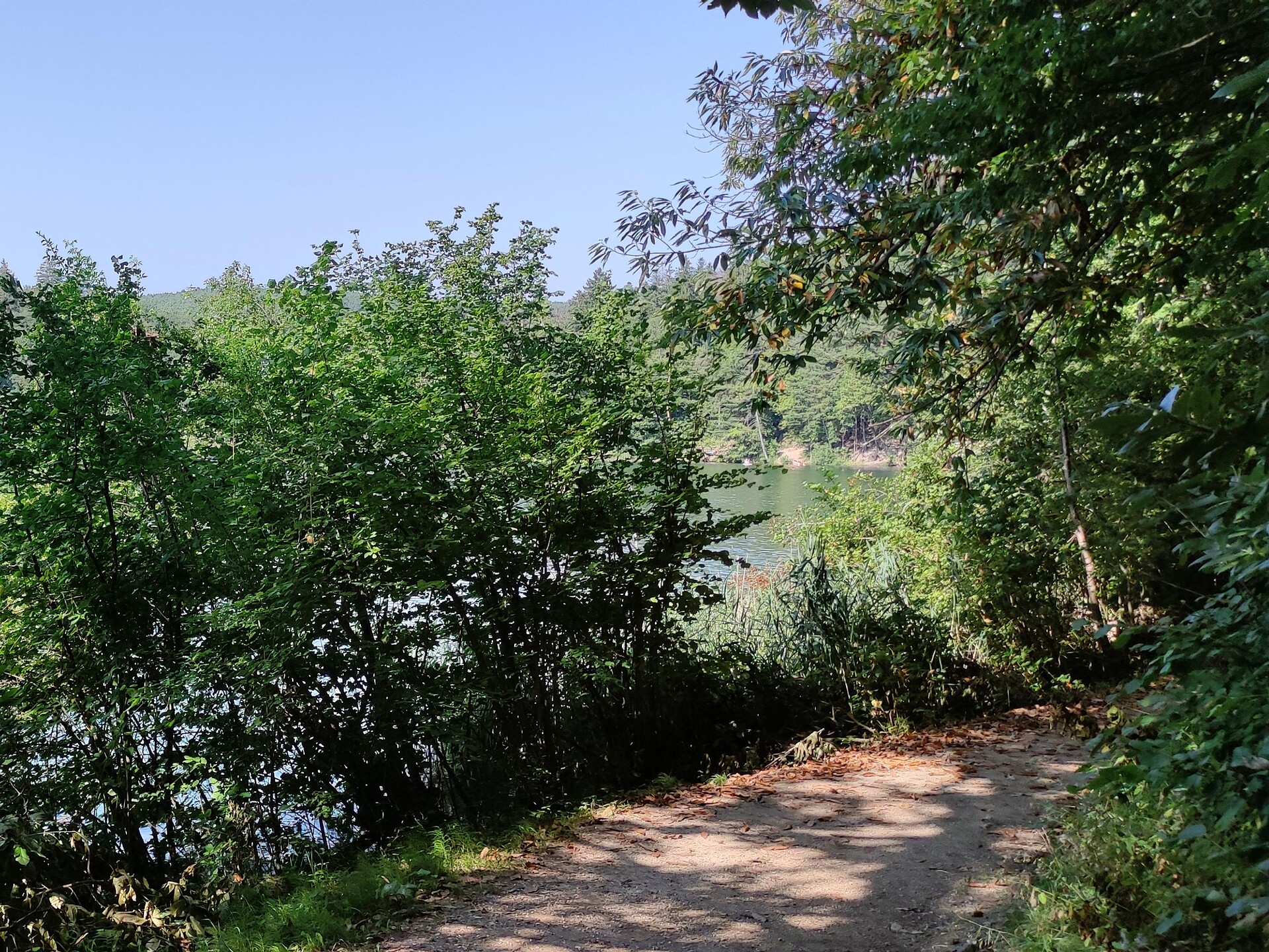 Spring Valley, Lakes of Monticolo/Montiggl and the ruins of Castelchiaro - Alto Adige Wine Road - #2 - suedtirol.info