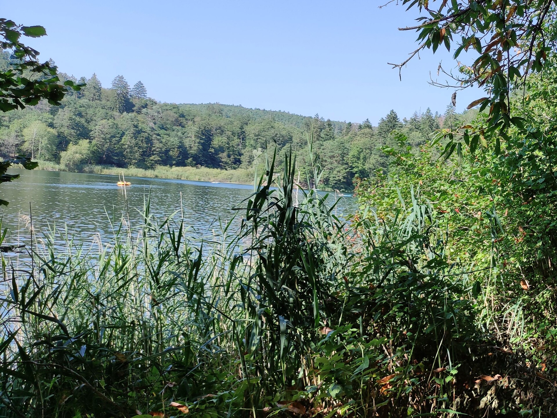 Spring Valley, Lakes of Monticolo/Montiggl and the ruins of Castelchiaro - Alto Adige Wine Road - #1 - suedtirol.info