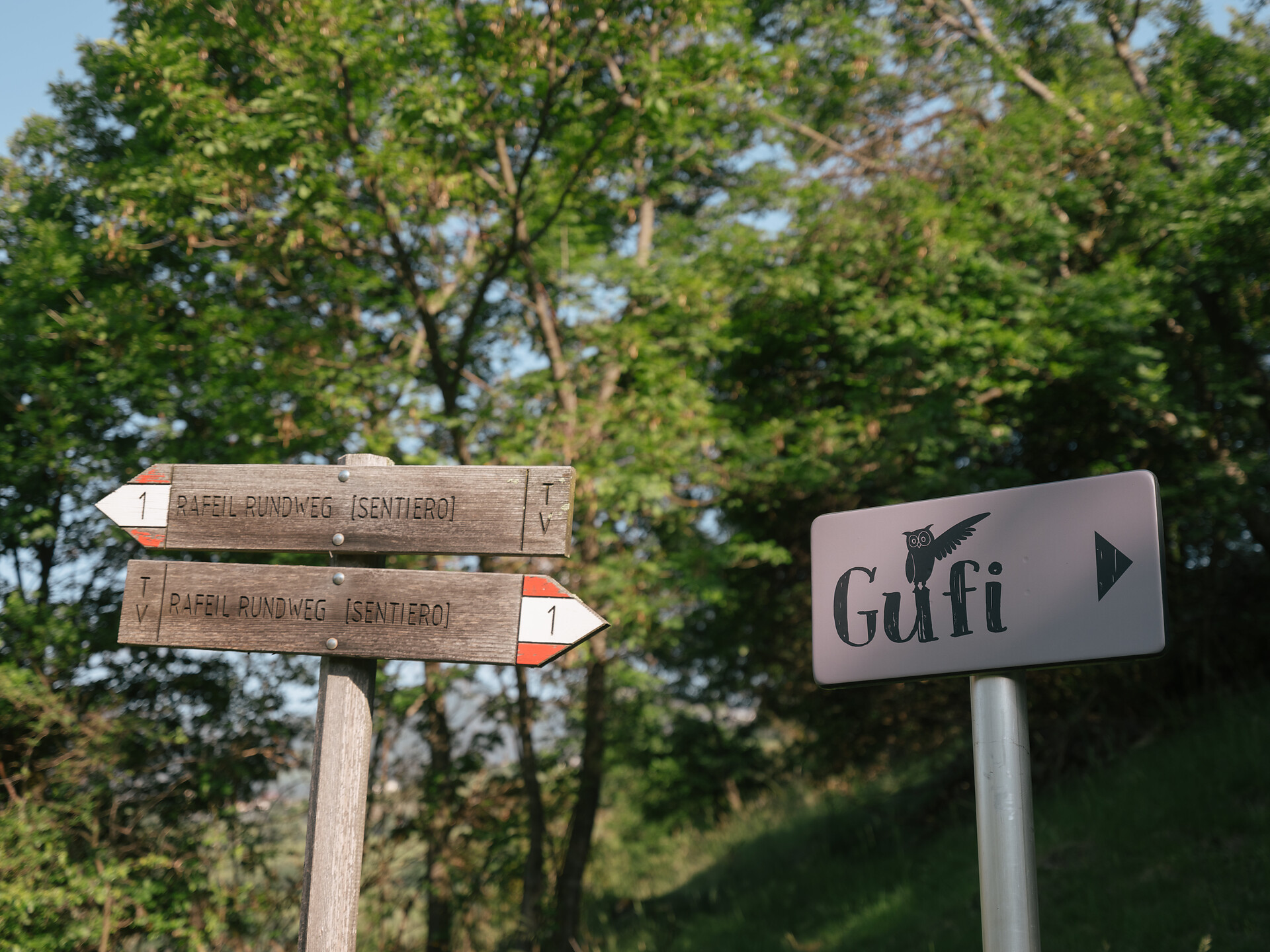 Sentiero Gufi a Gudon  - Bressanone e dintorni - #3 - suedtirol.info