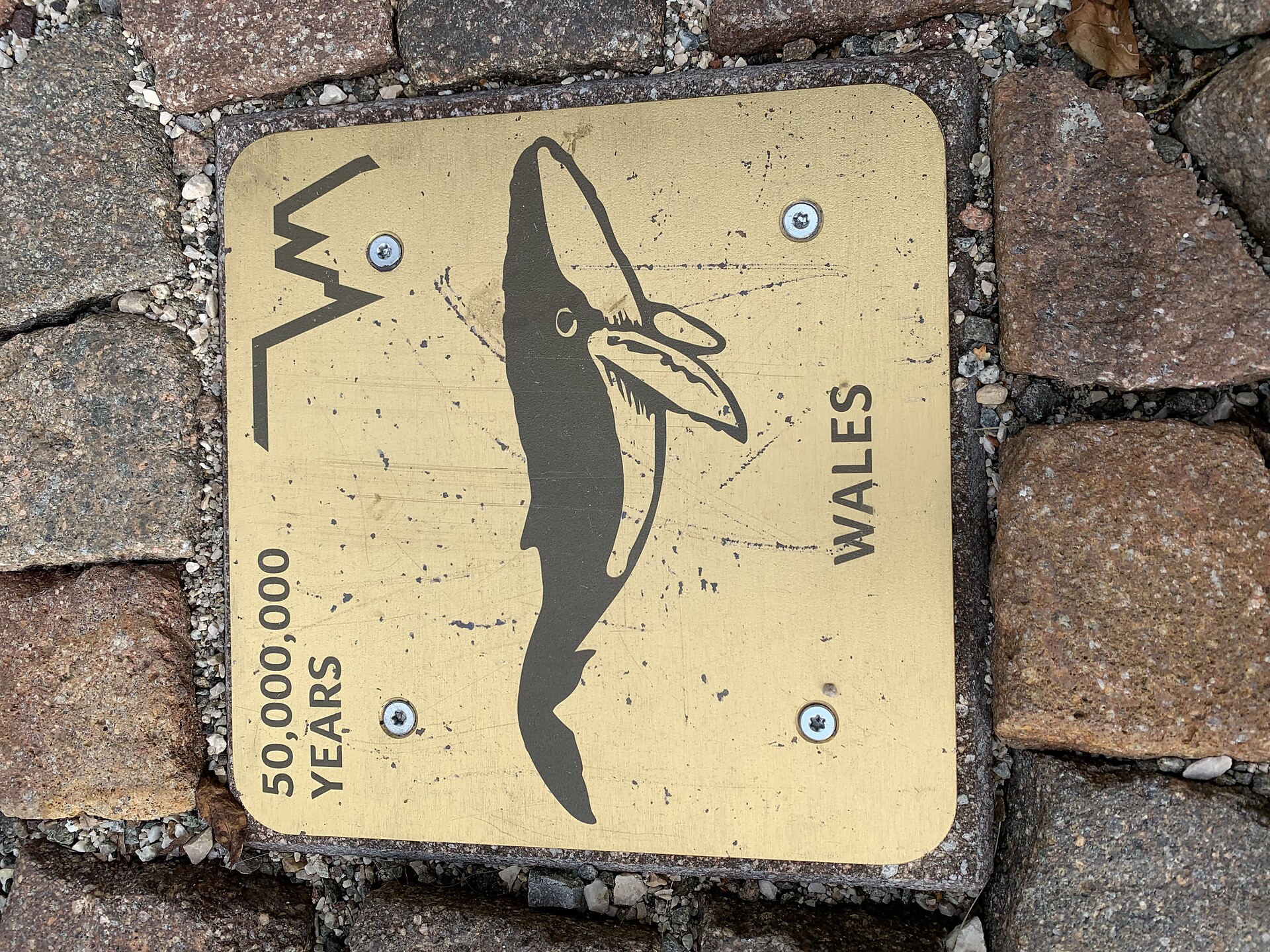 Geologic mile Seis